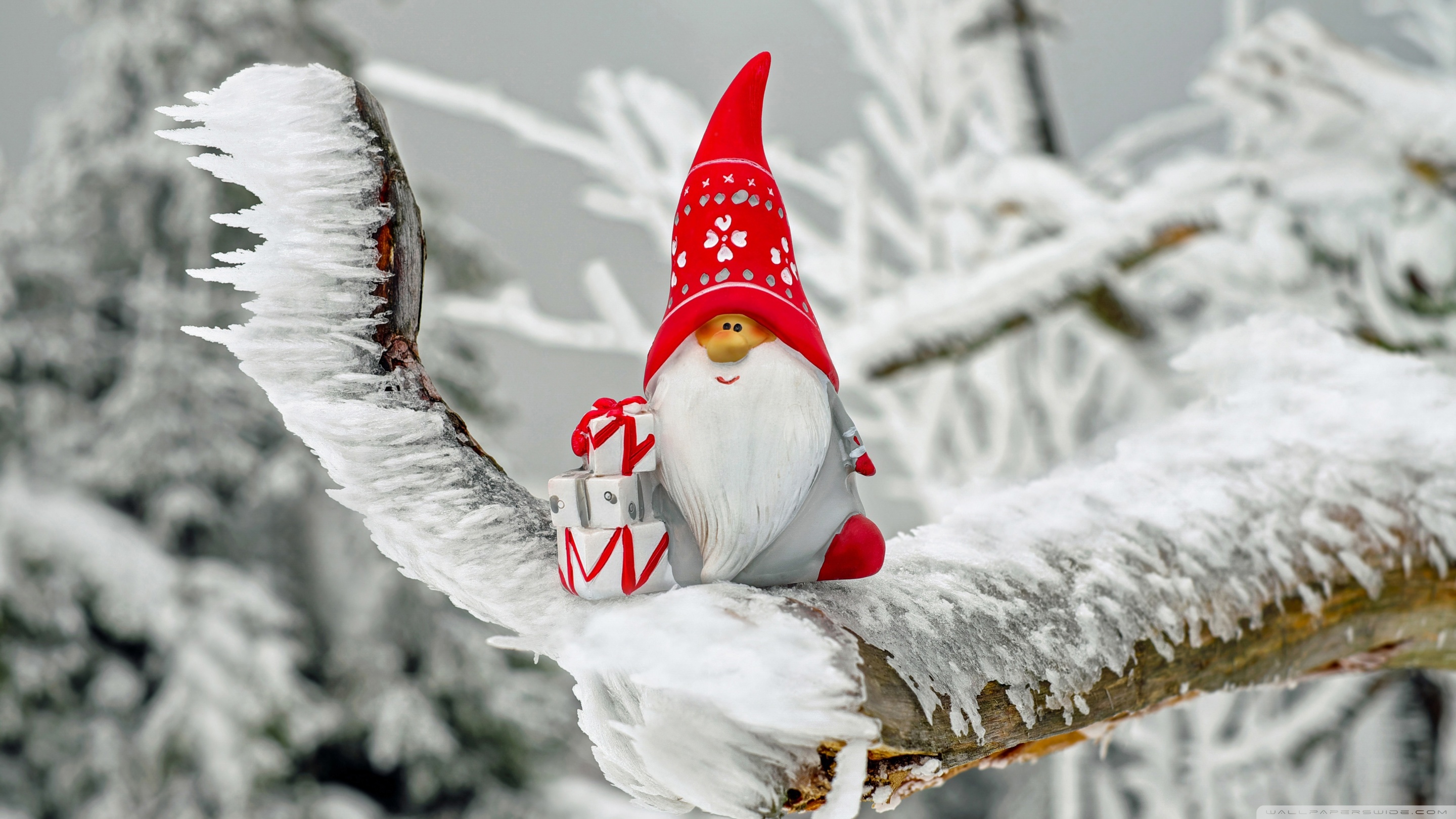 Christmas Gnome Ultra HD Wallpaper