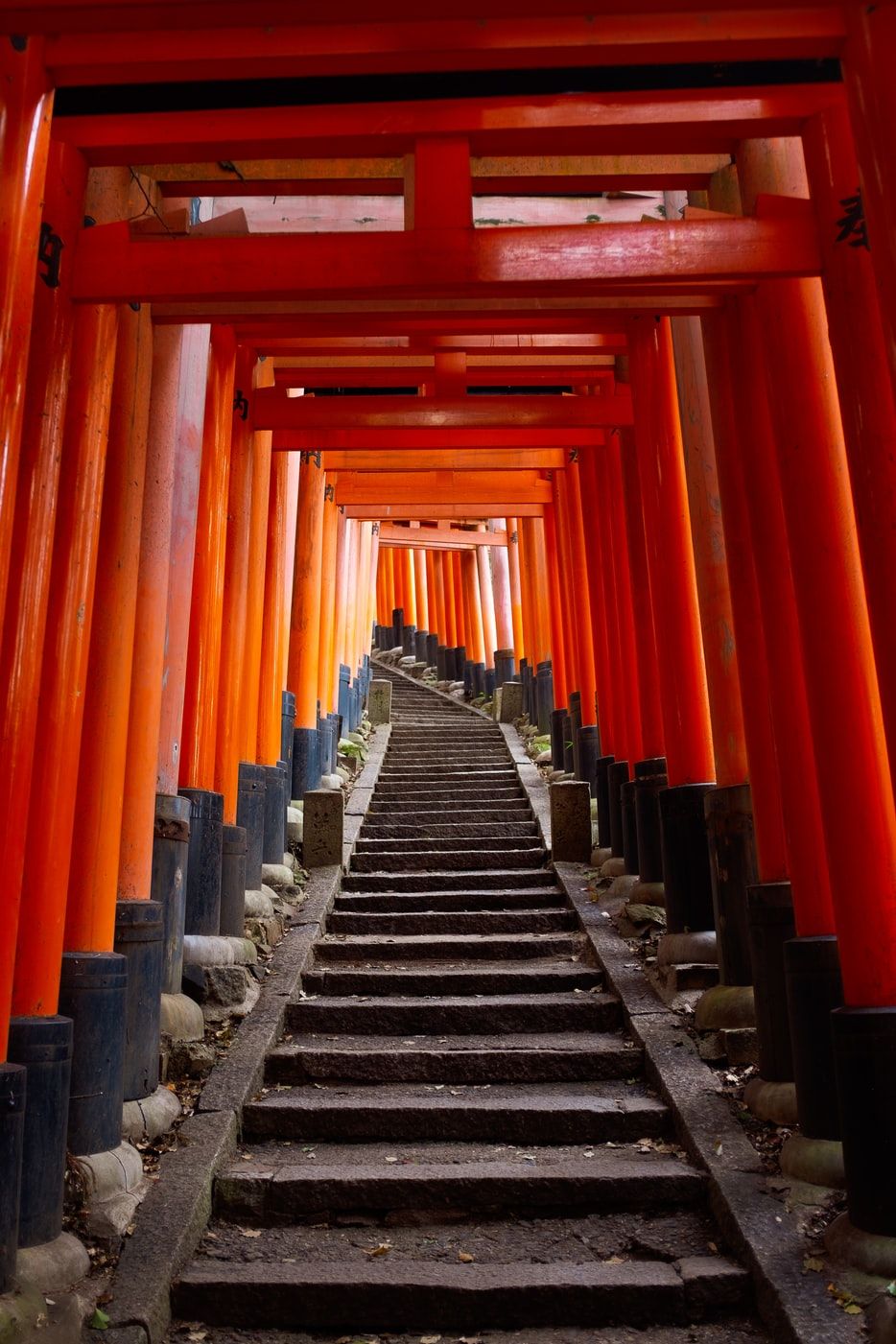 Fushimi Inari Shrine, Kyoto, Japan