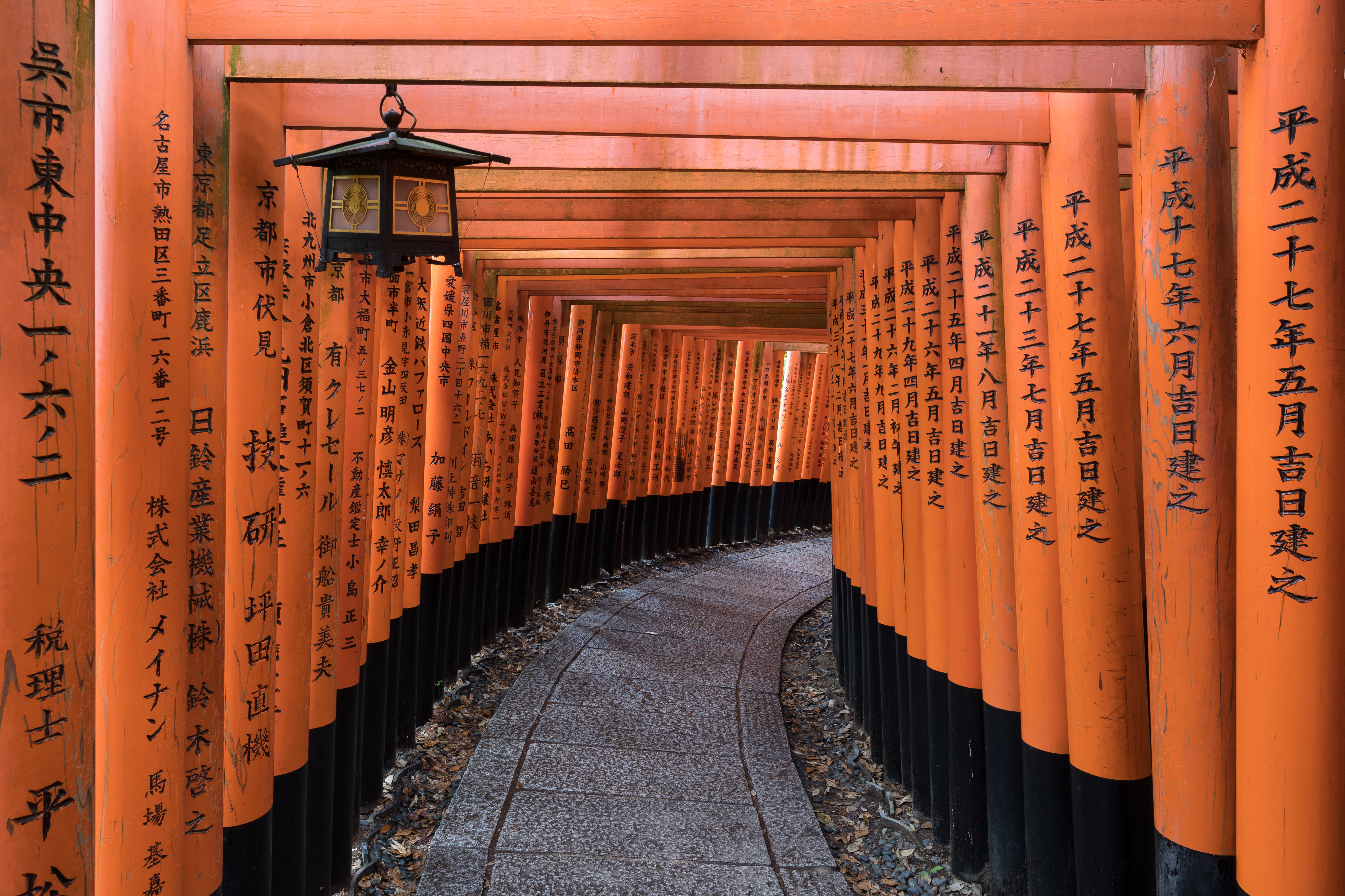 Torii path with lantern at Fushimi