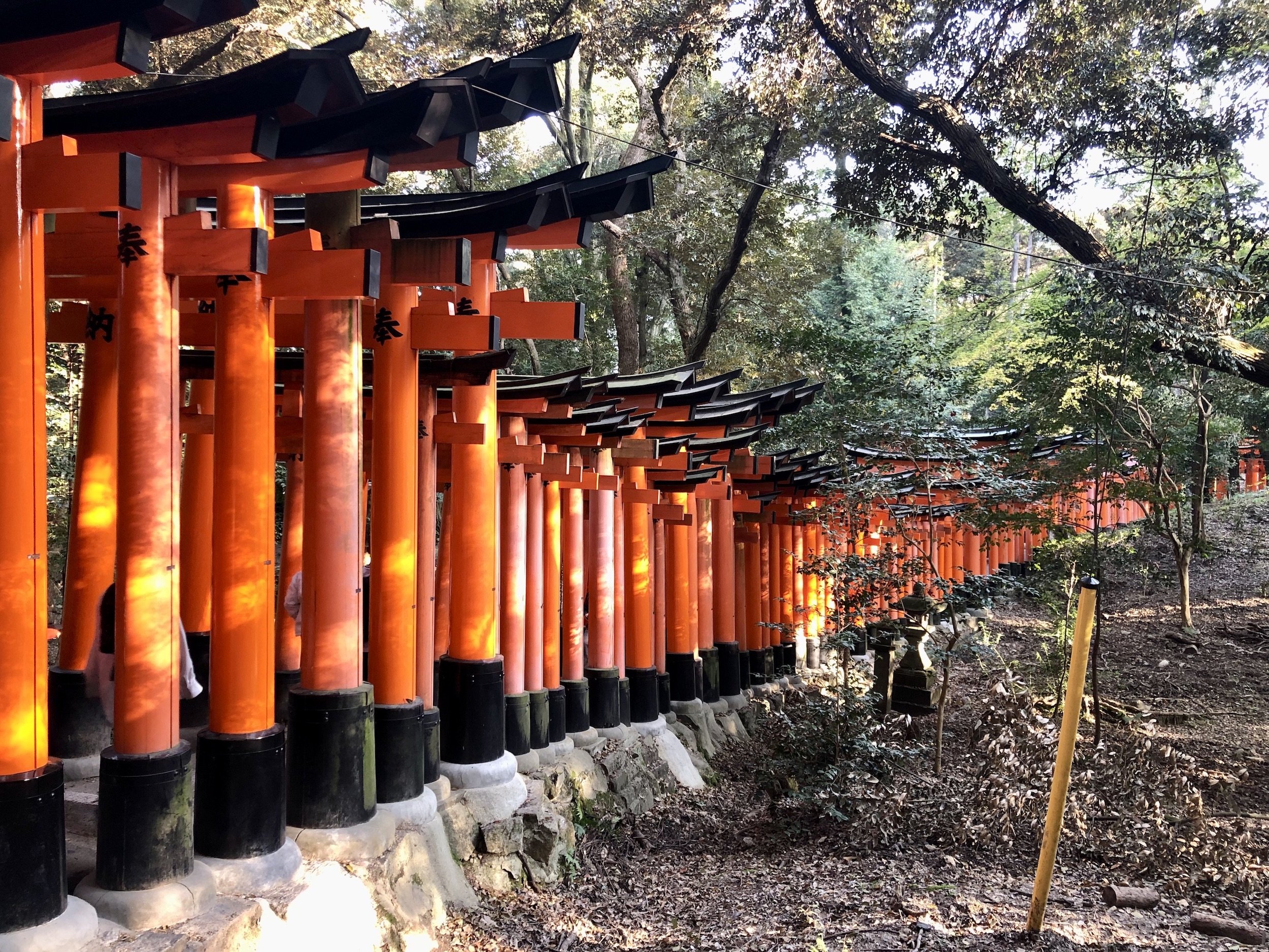Fushimi Inari Taisha: Climbing Kyoto's