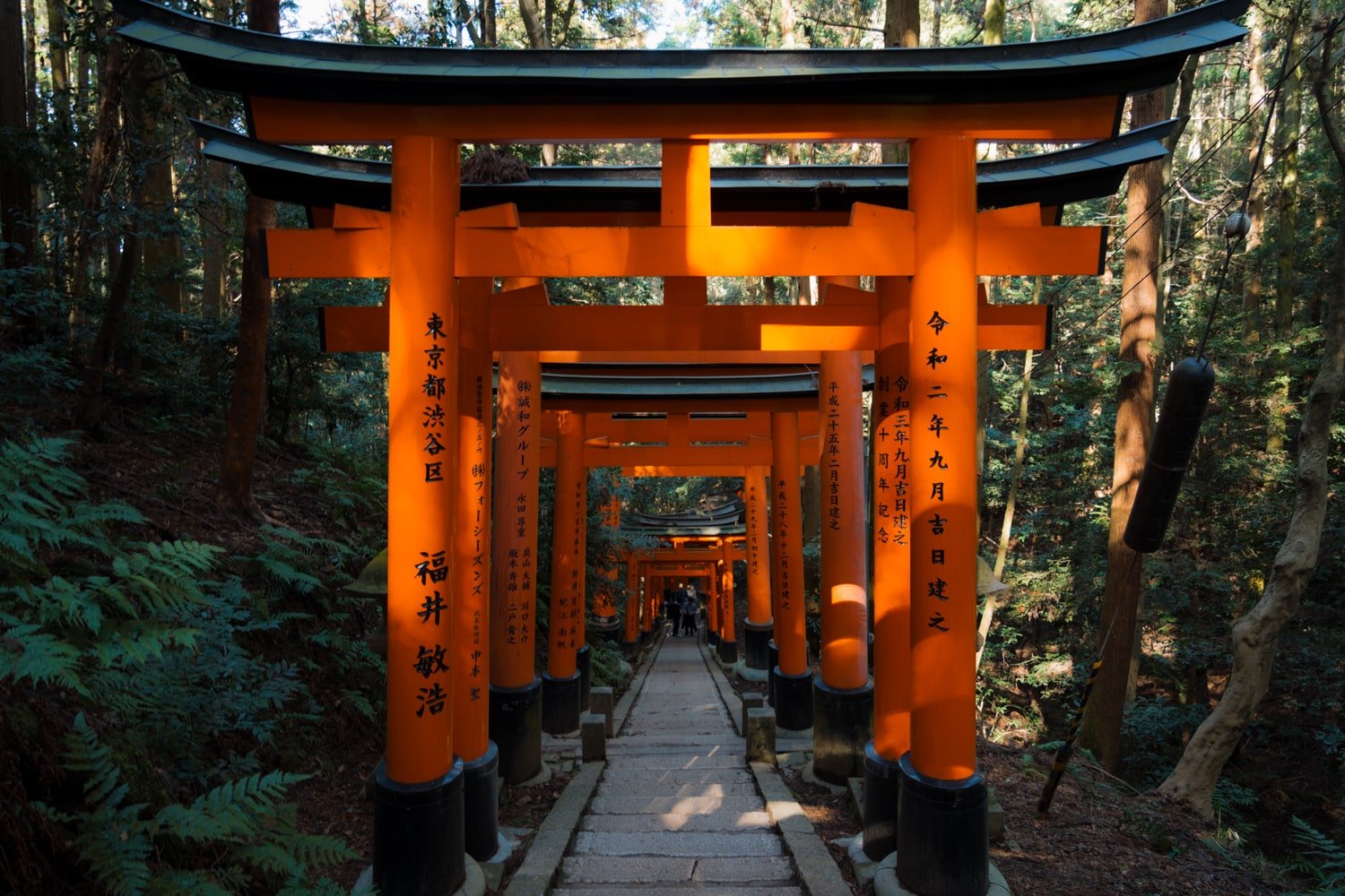 Fushimi Inari Hike: A Trail Guide to