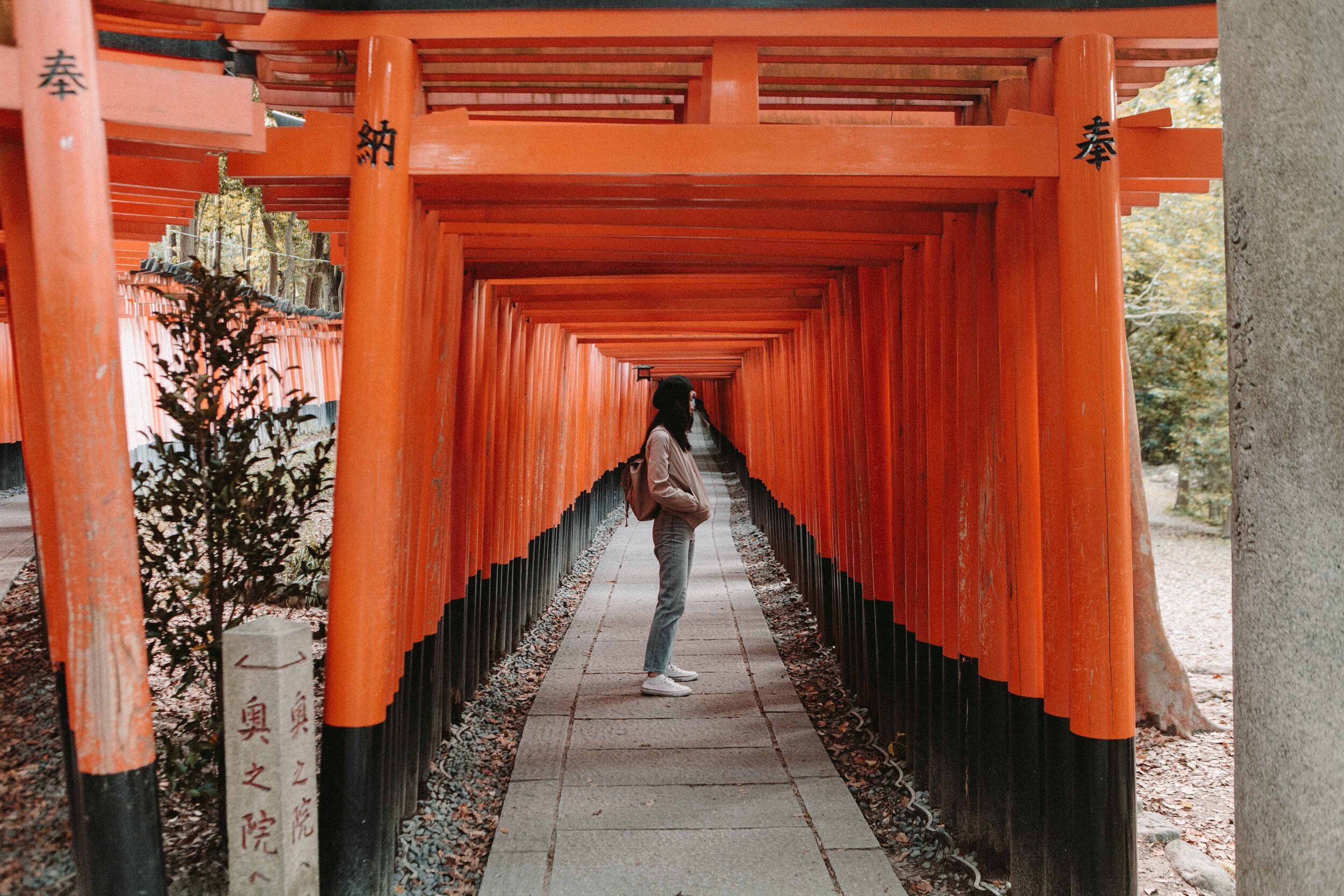 A Thousand Torii Gates Inari