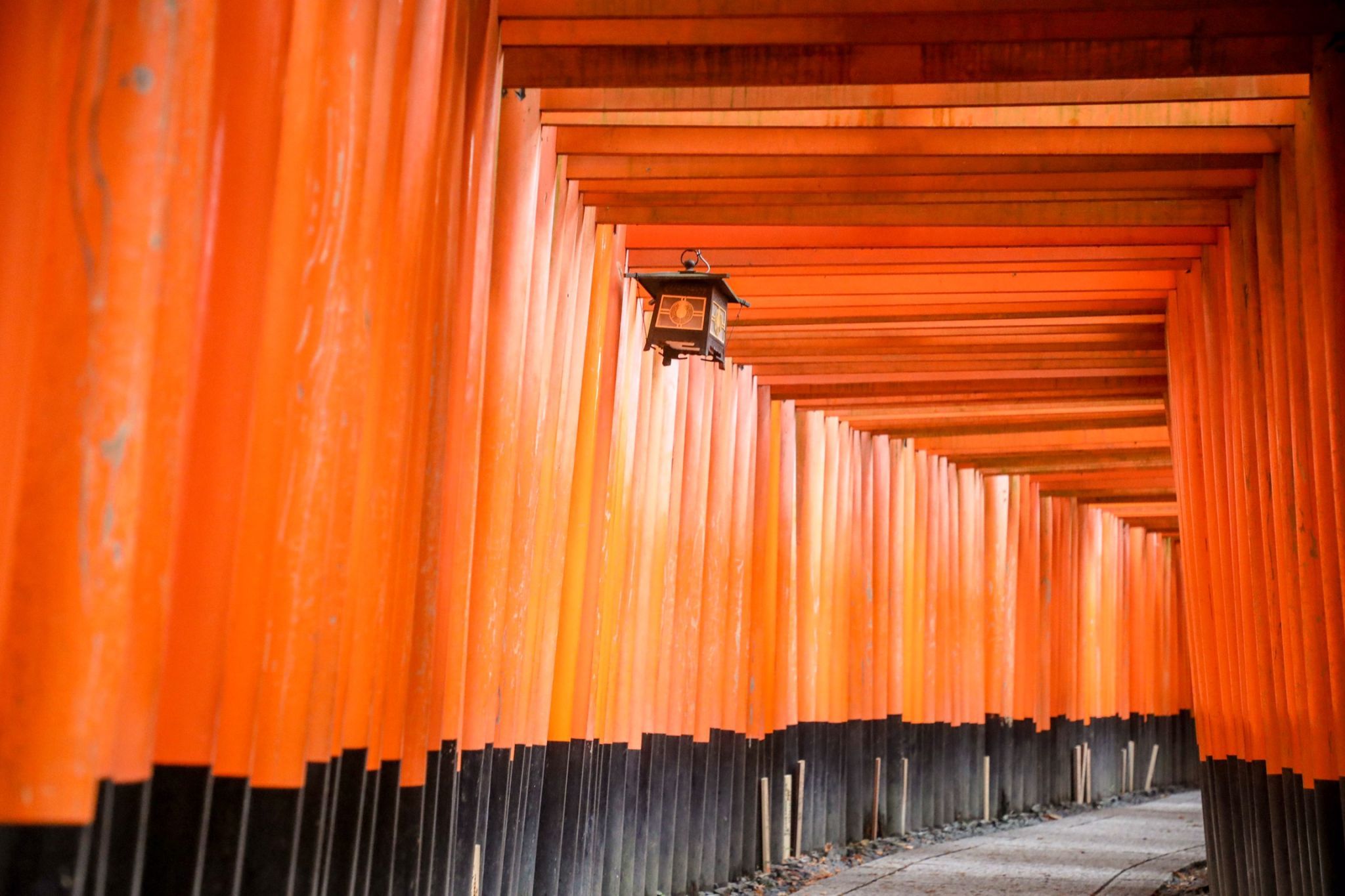 Fushimi Inari Shrine Kyoto, Japan