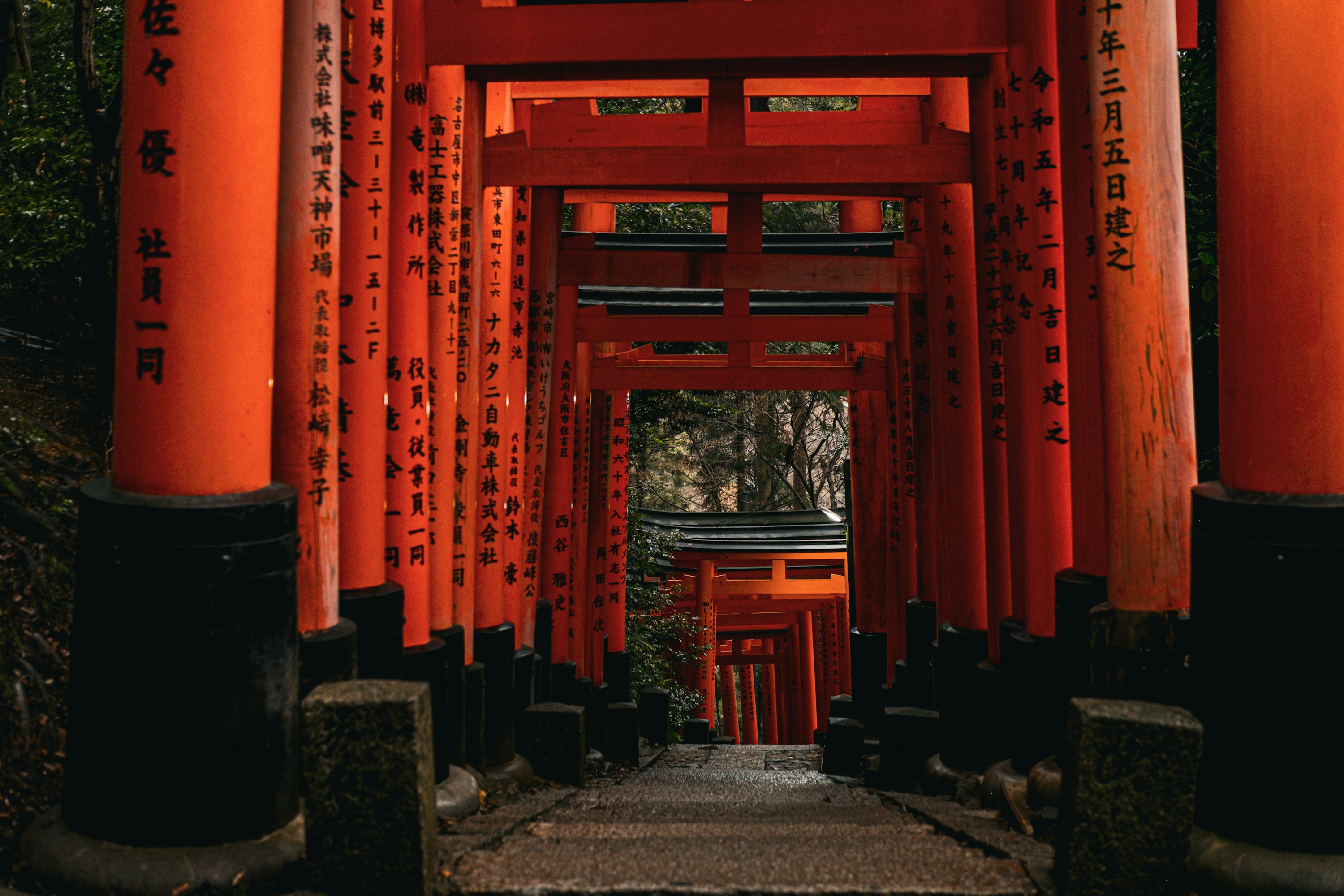 Fushimi Inari Taisha Picture