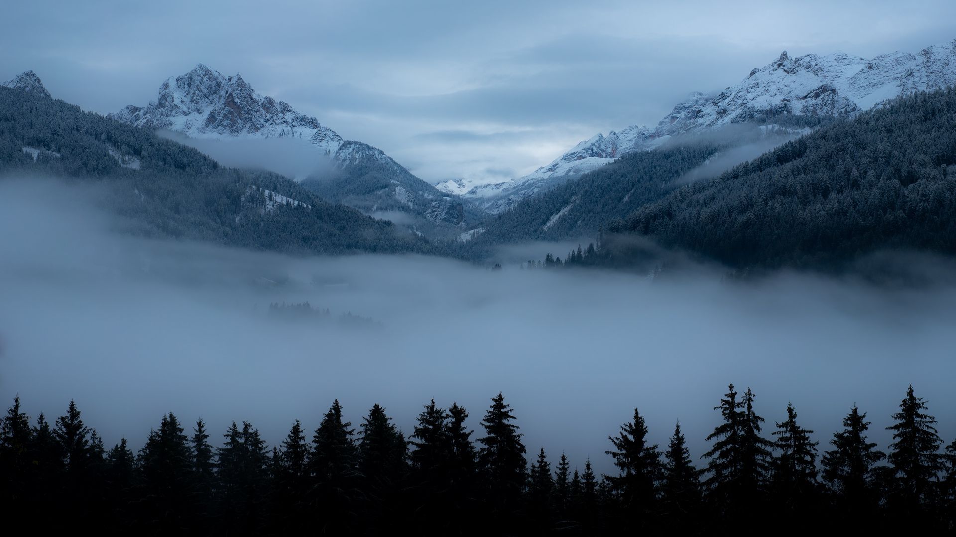 Wallpaper dusk trees valley mountains fog