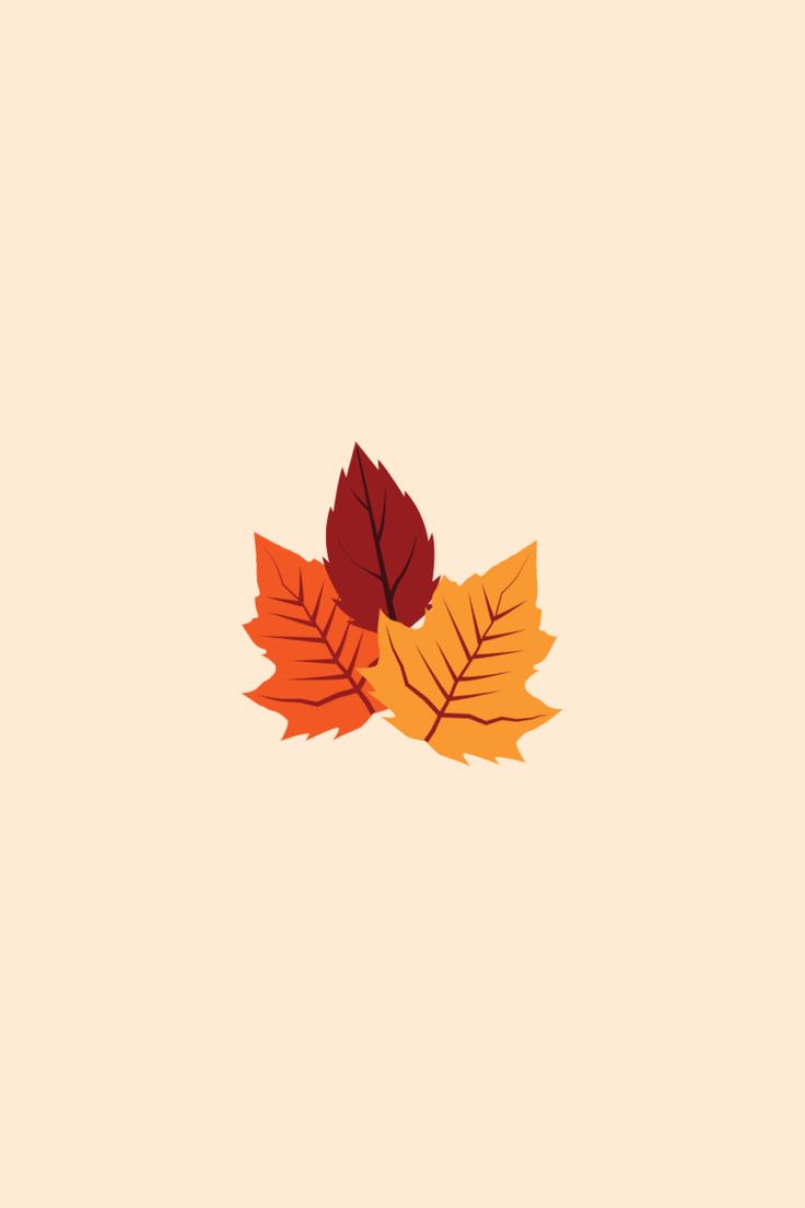 Autumn Leaves Wallpaper