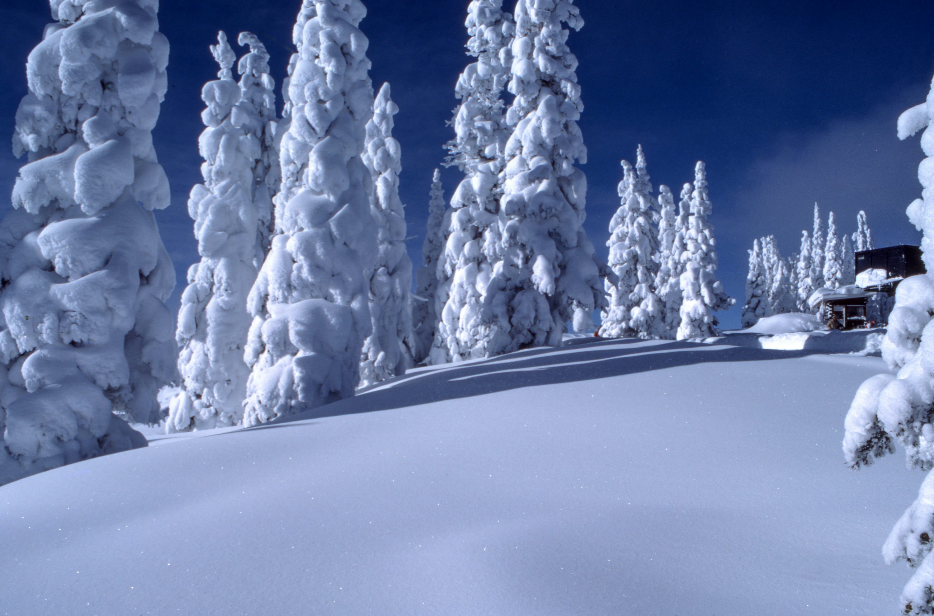 Snow Wallpaper: Free HD Download