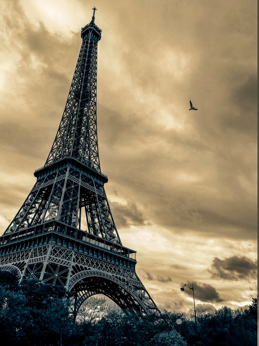 The Eiffel Tower, Paris, France. life