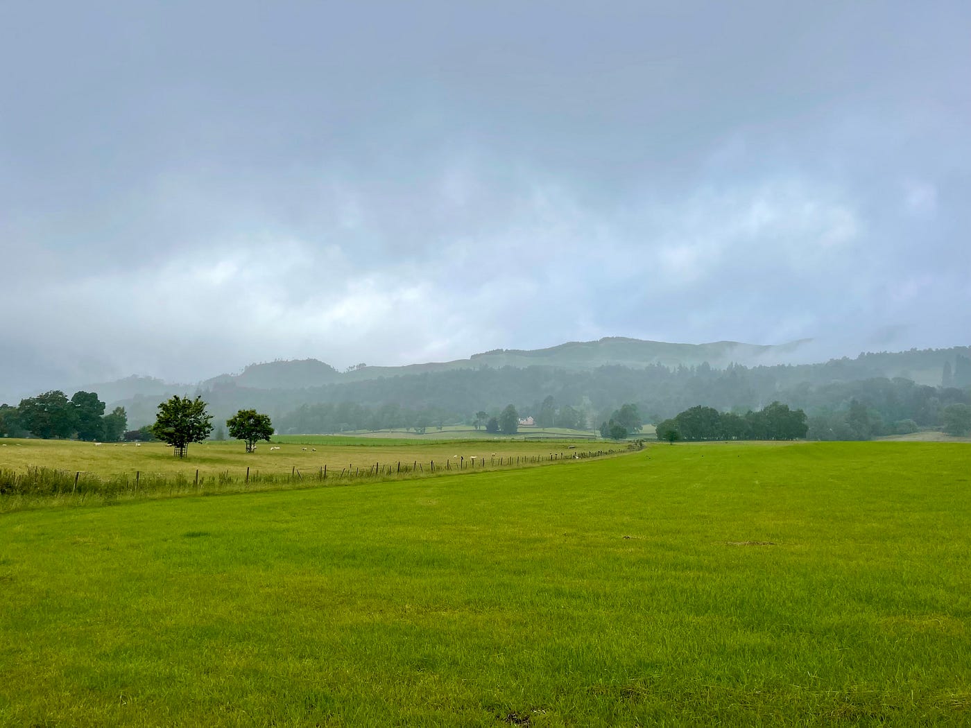 The Rolling, Lush Green Hills