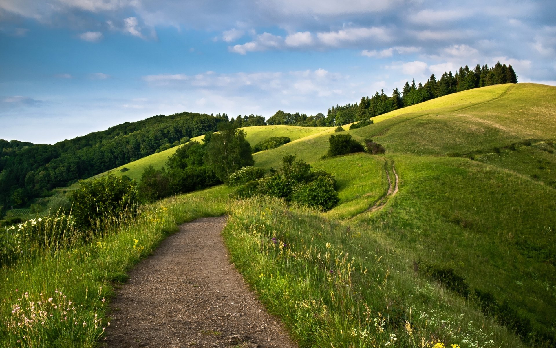 Serene Hill Path