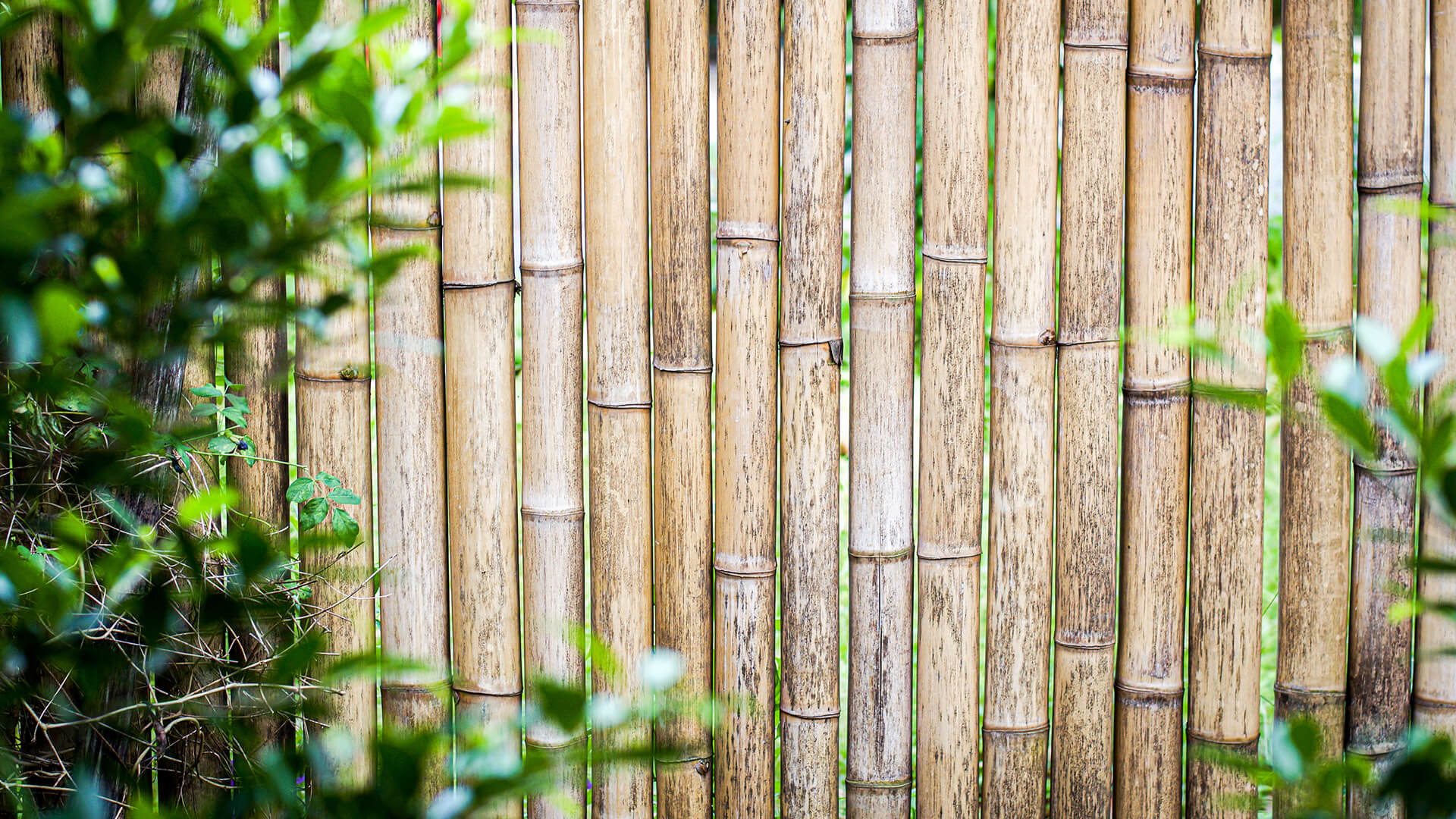 Eco Friendly And Green Building