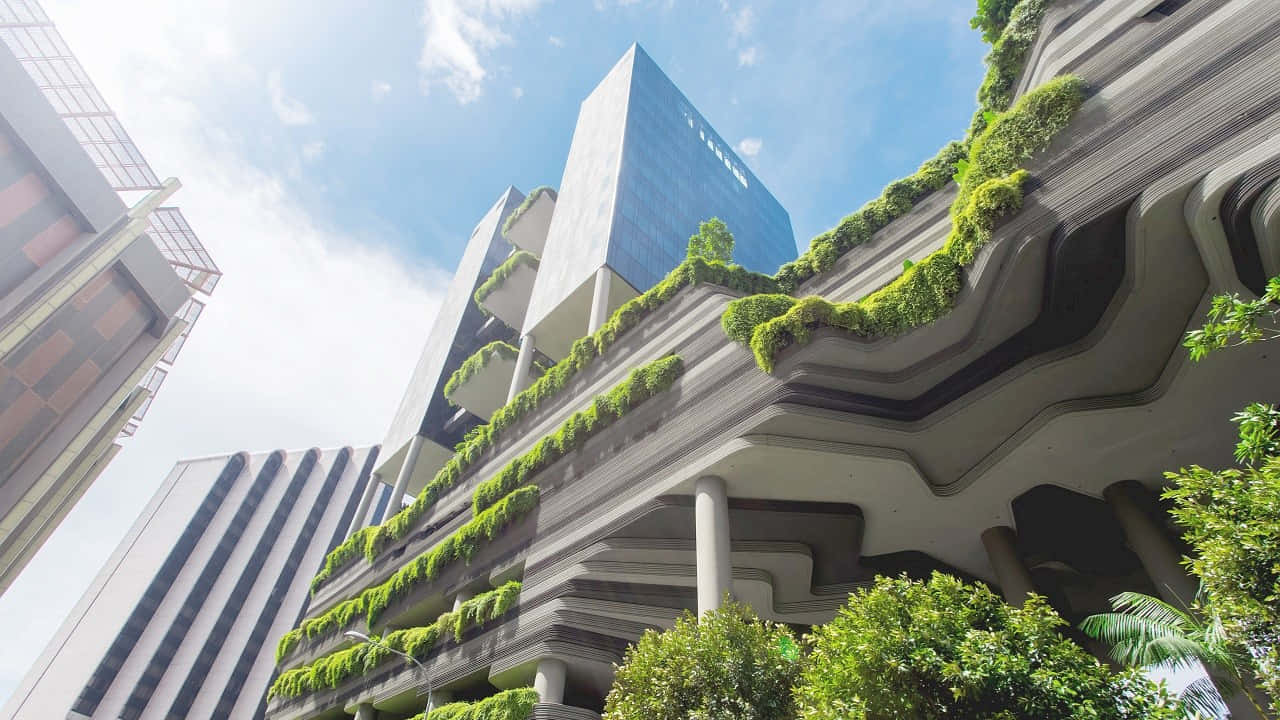 Green Buildings Wallpaper