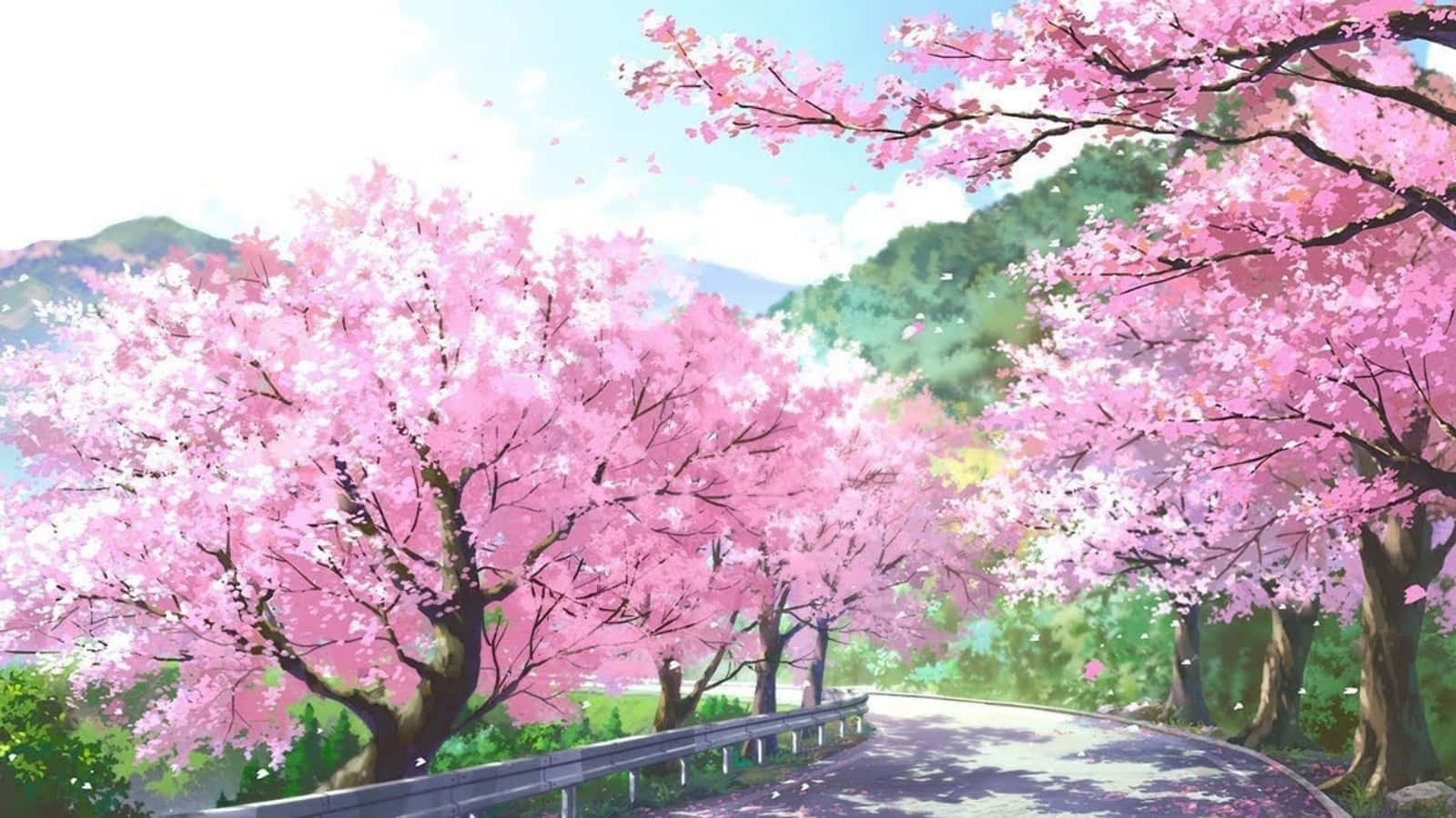Download A blooming Sakura cherry tree