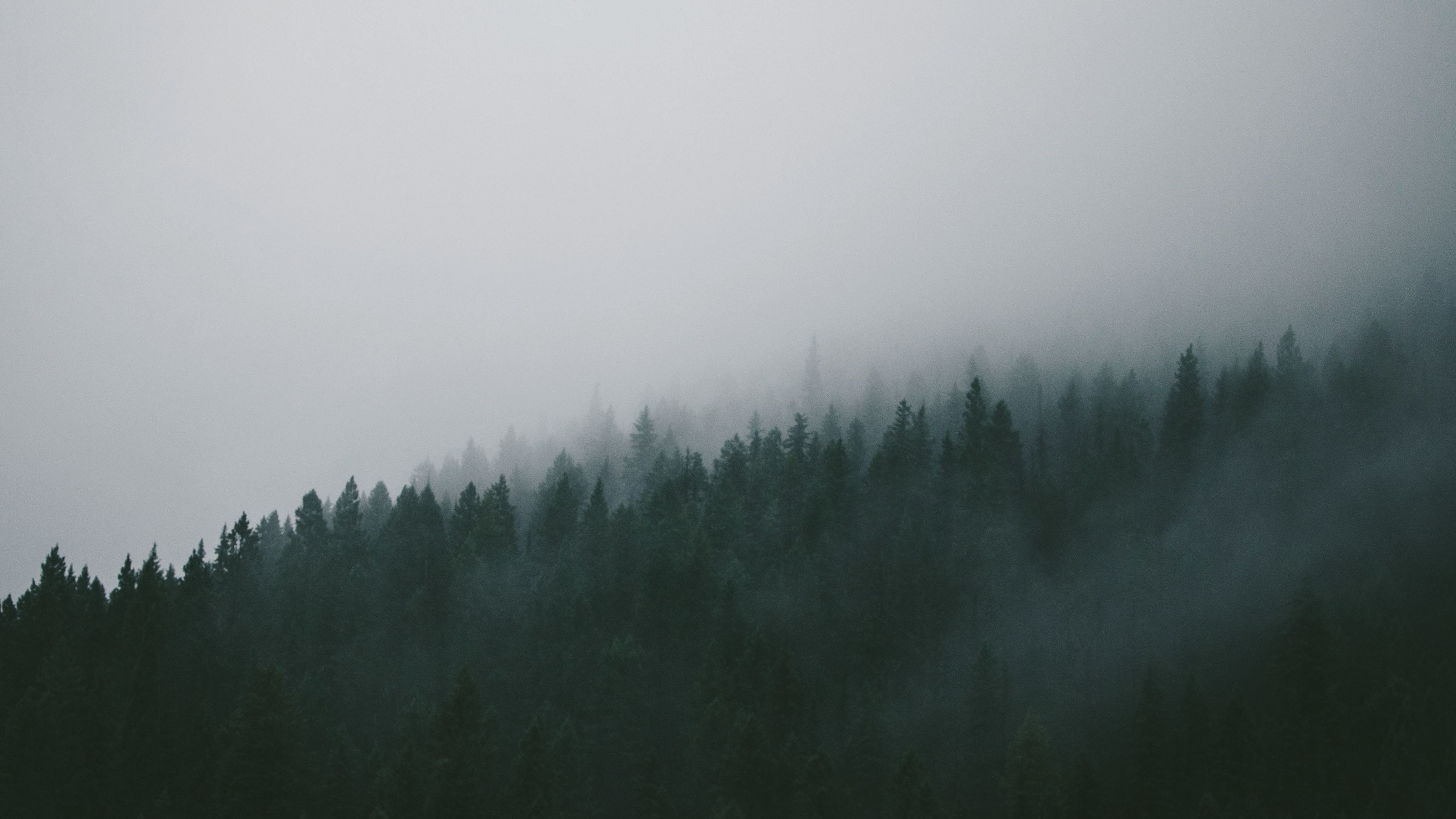 Download wallpaper 3840x2160 winter