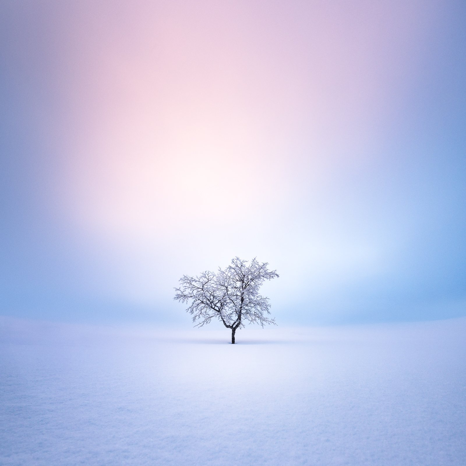 Art Of Capturing Winter Fog Photography
