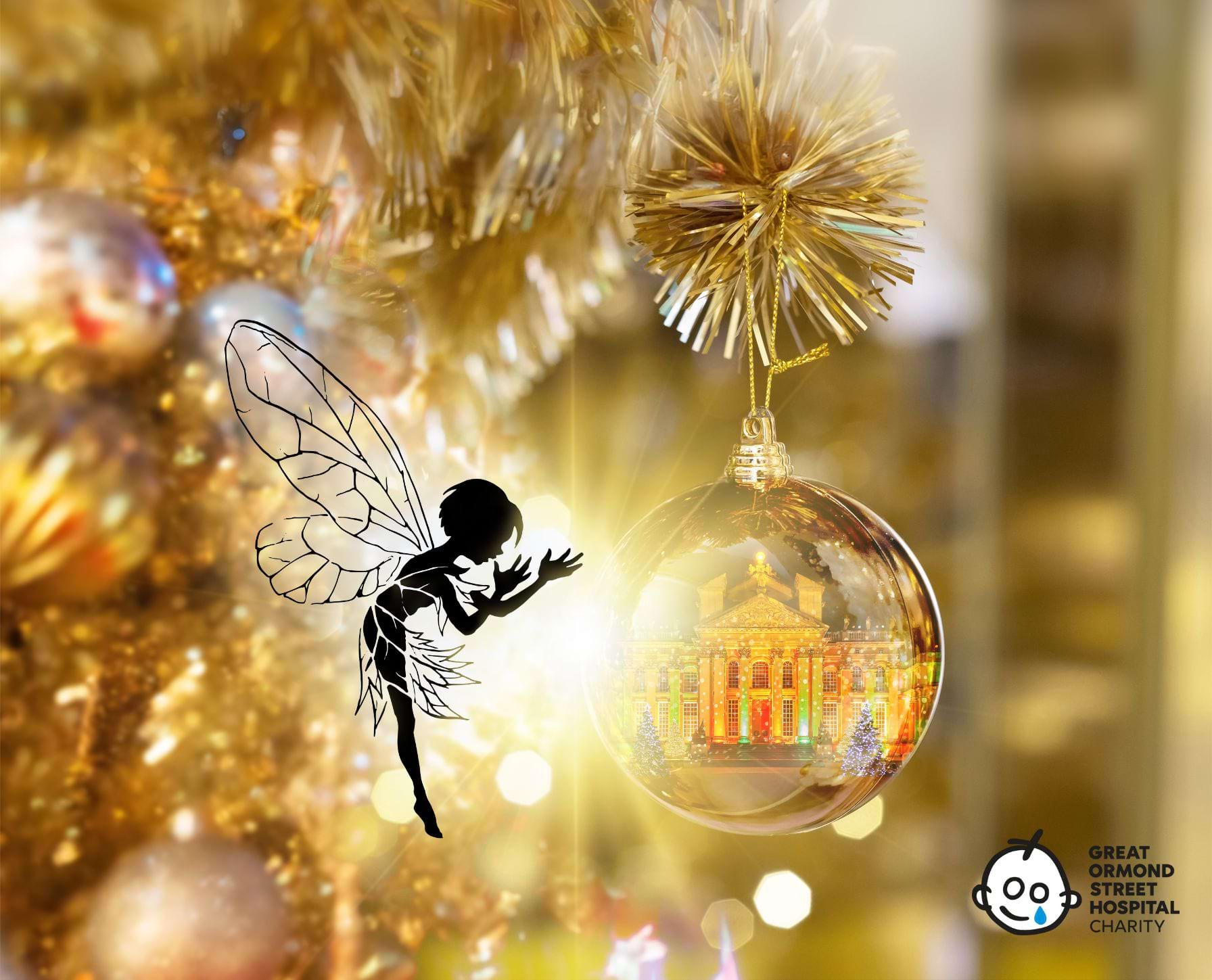 Christmas at Blenheim. Festive Light