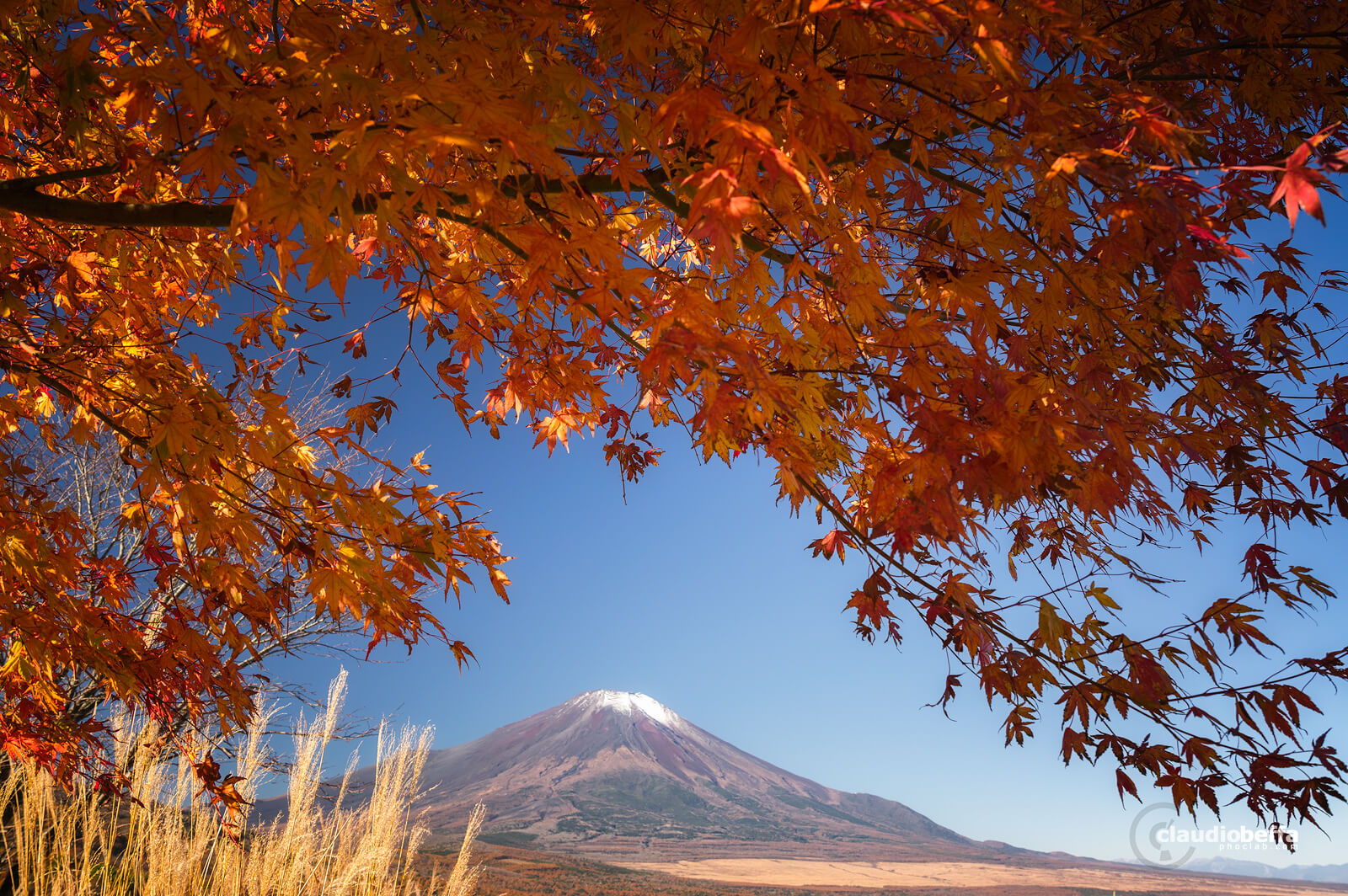 Autumn in Japan: Mount Fuji