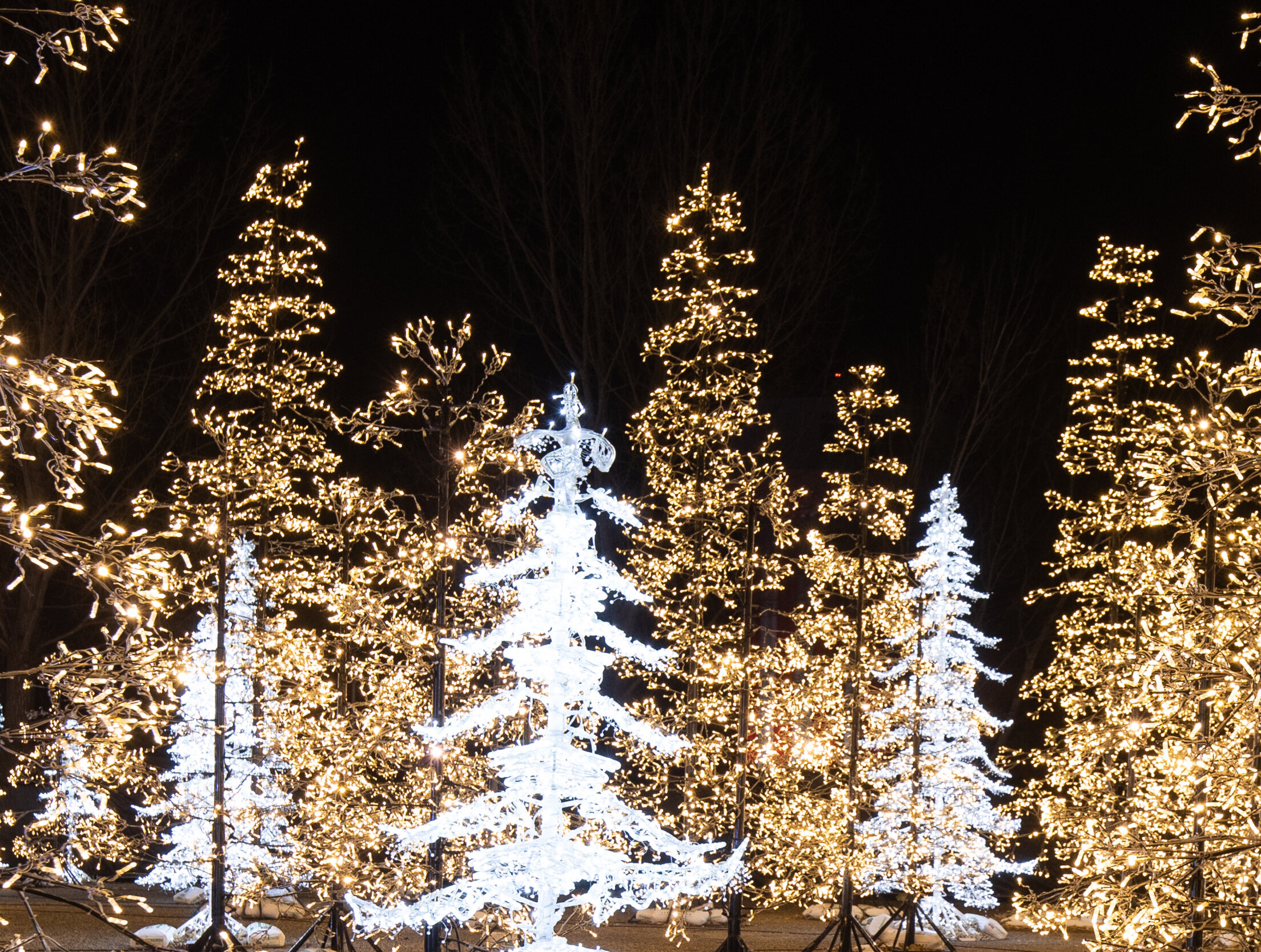 GLOW Holiday Festival