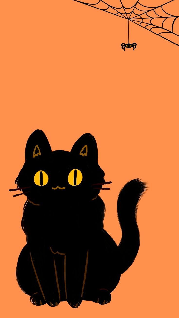 Black Cat Orange Background