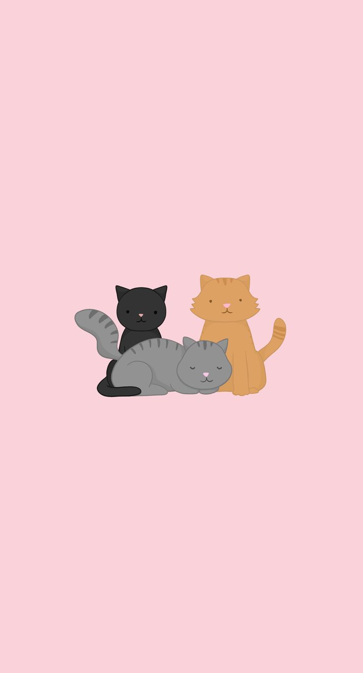 Trio of multicolored cats Phone Wallpaper
