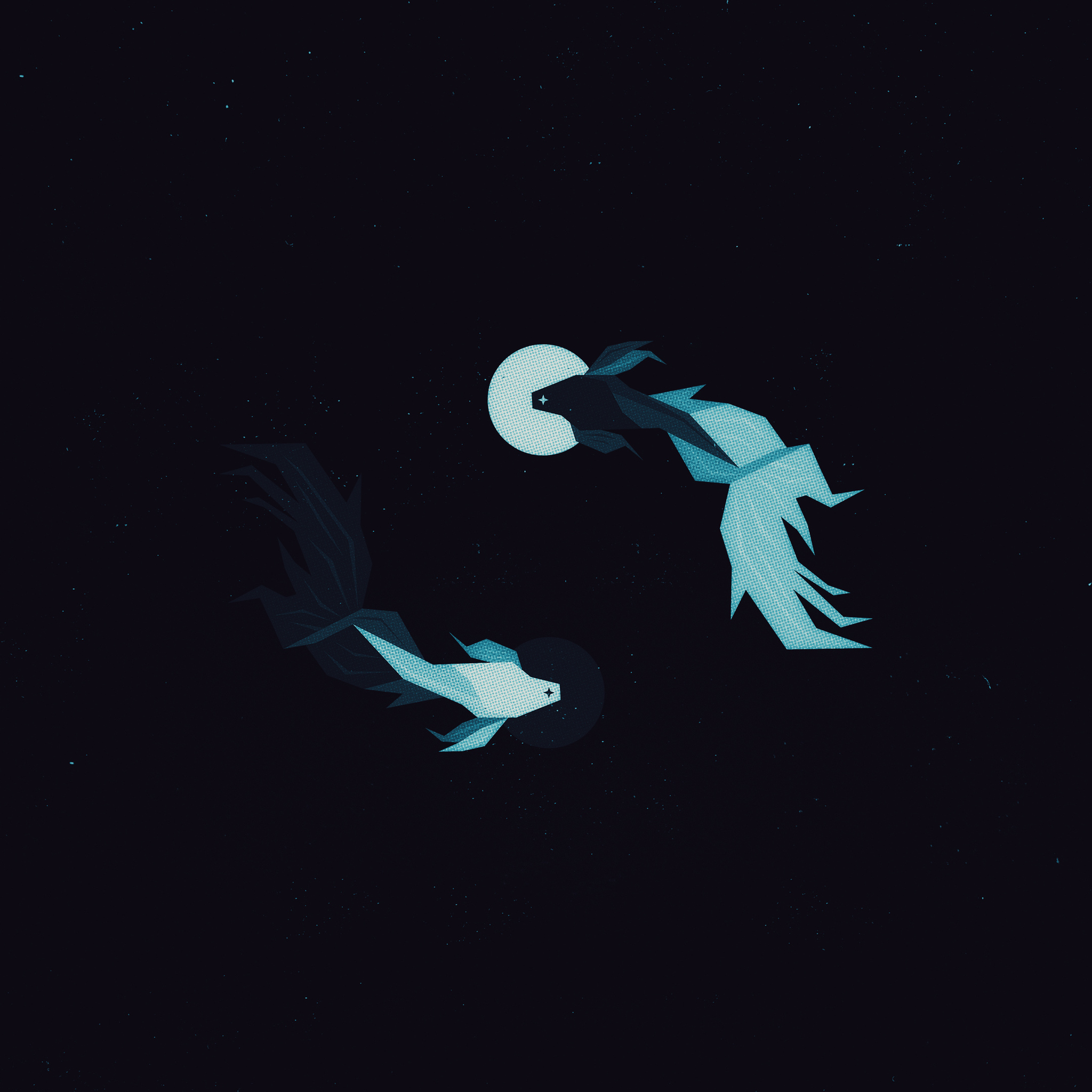 Fish Dark Minimal iPad Air