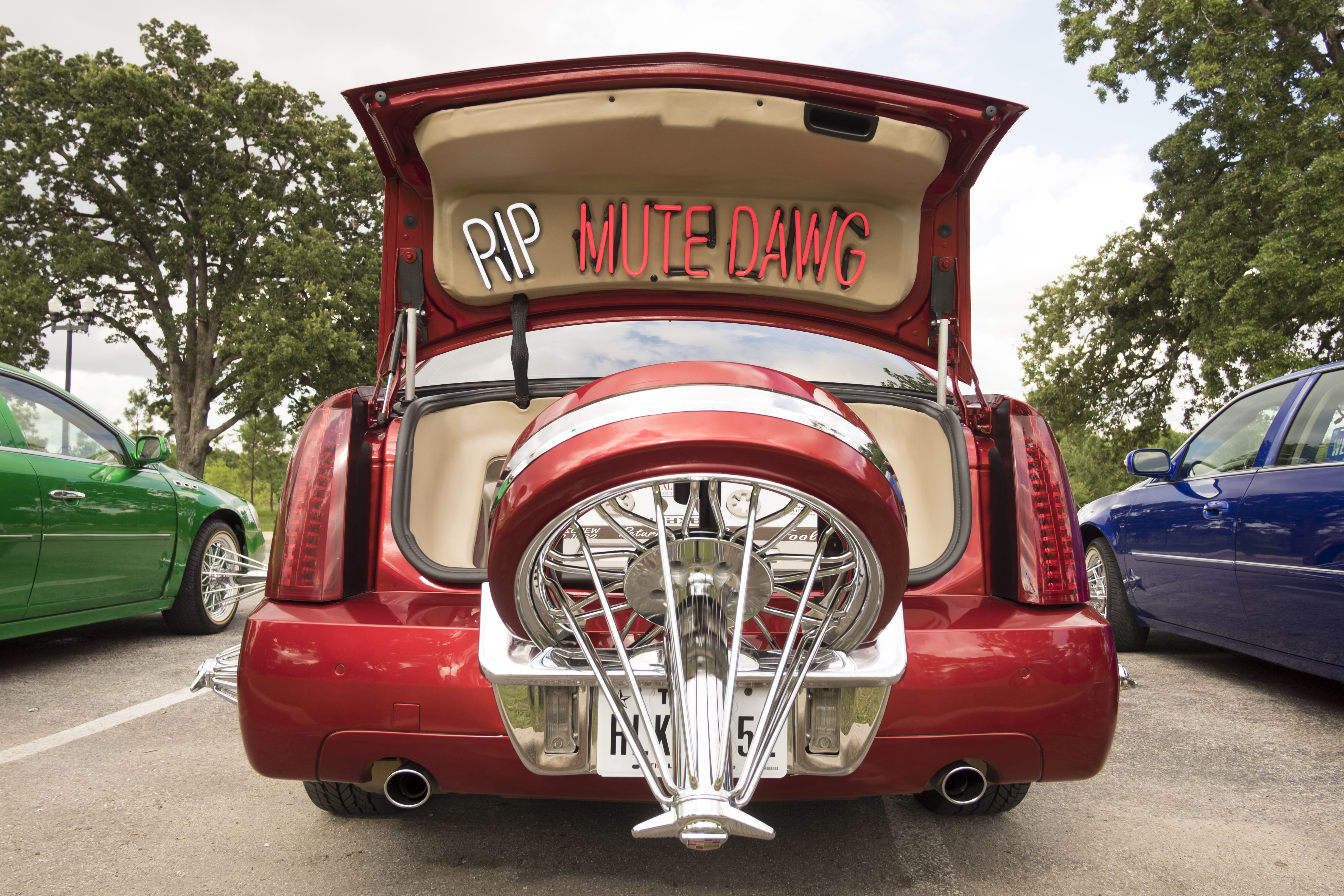 Candy paint and elbows: Swangin