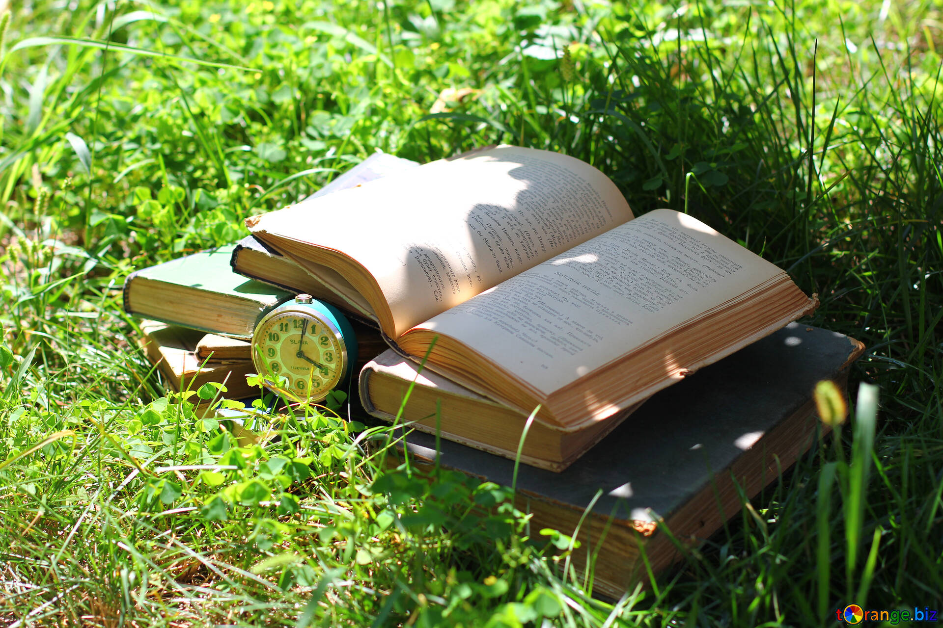 Reading books wallpaper free image