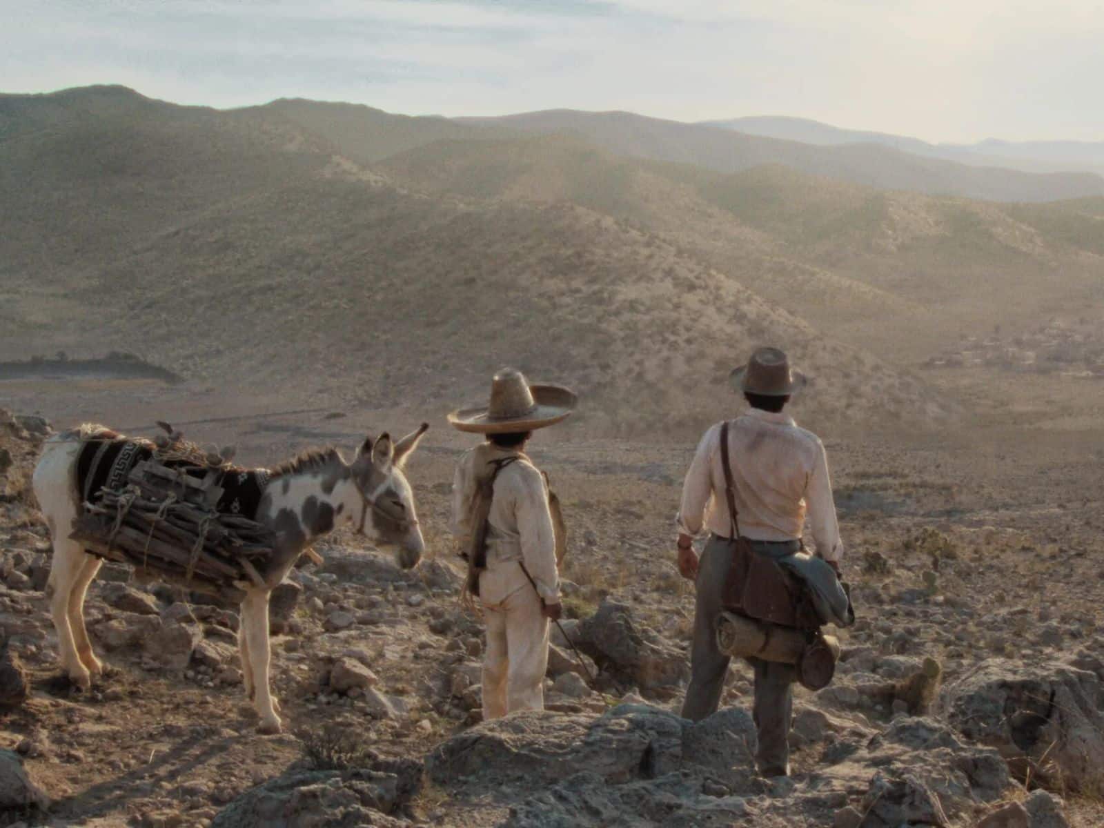 literaria que estrenará Netflix