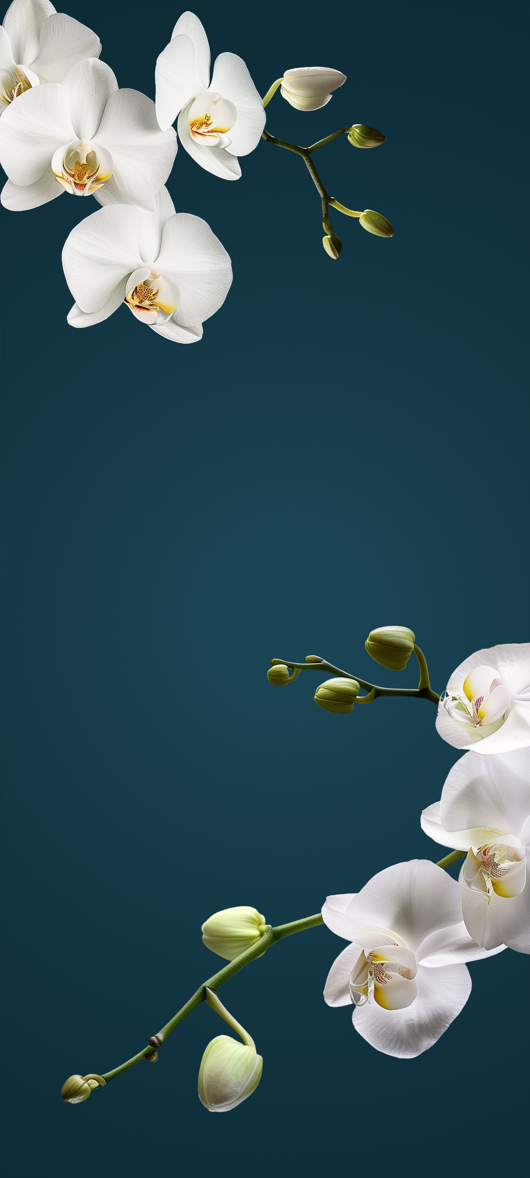 Xiaomi HyperOS 2.0 wallpaper