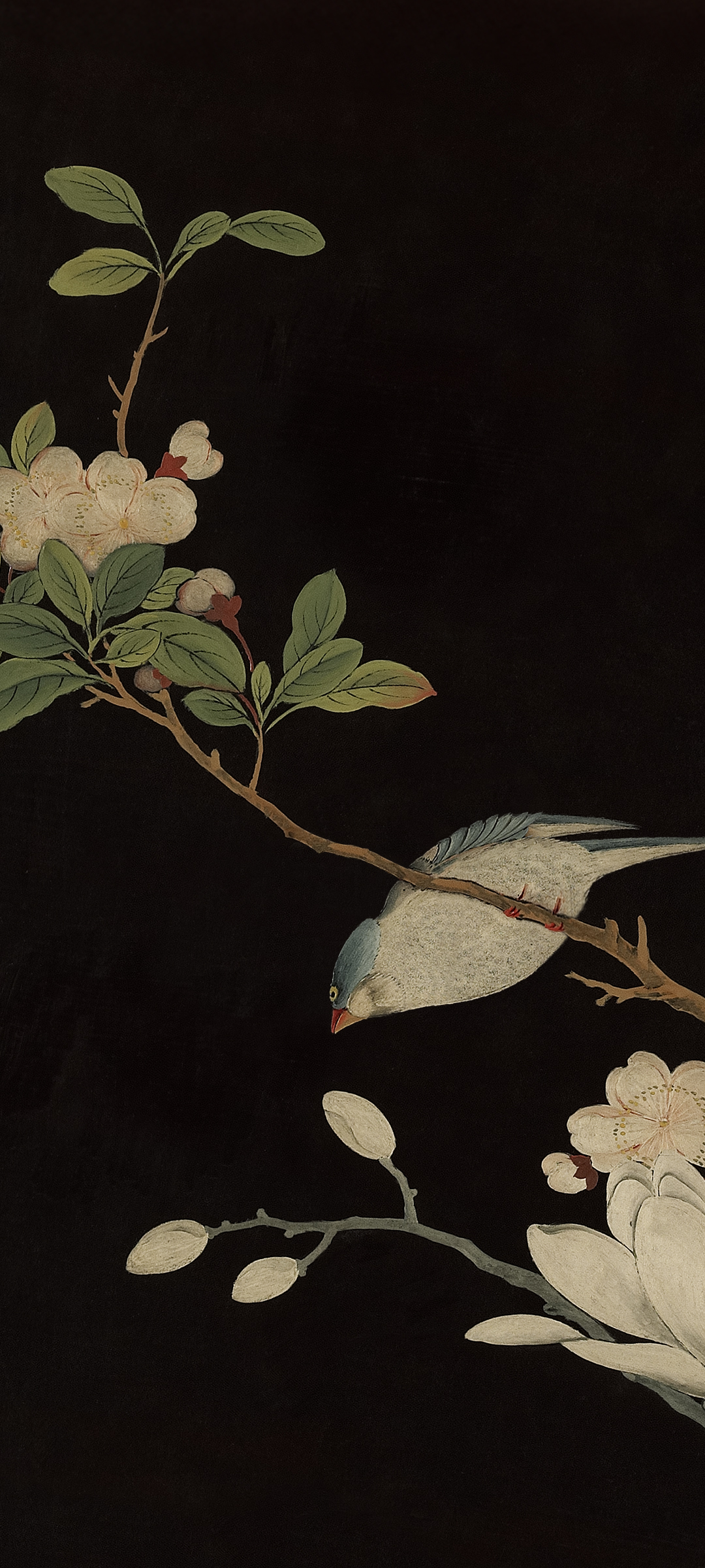 Xiaomi HyperOS 2.0 wallpaper