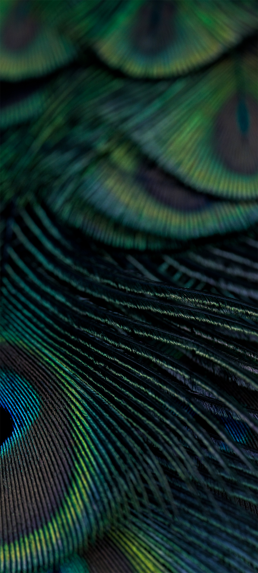 Xiaomi HyperOS 2.0 wallpaper