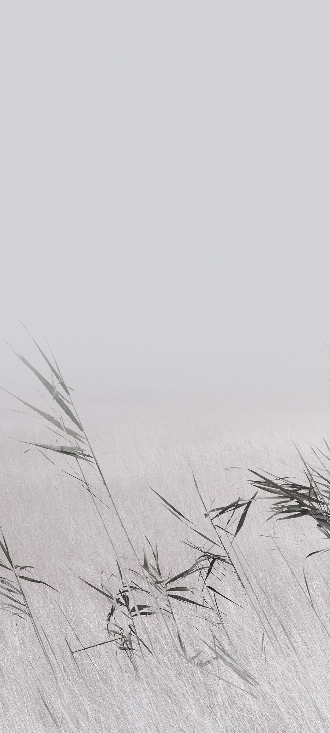 Xiaomi HyperOS 2.0 Wallpapers - Wallpaper Cave