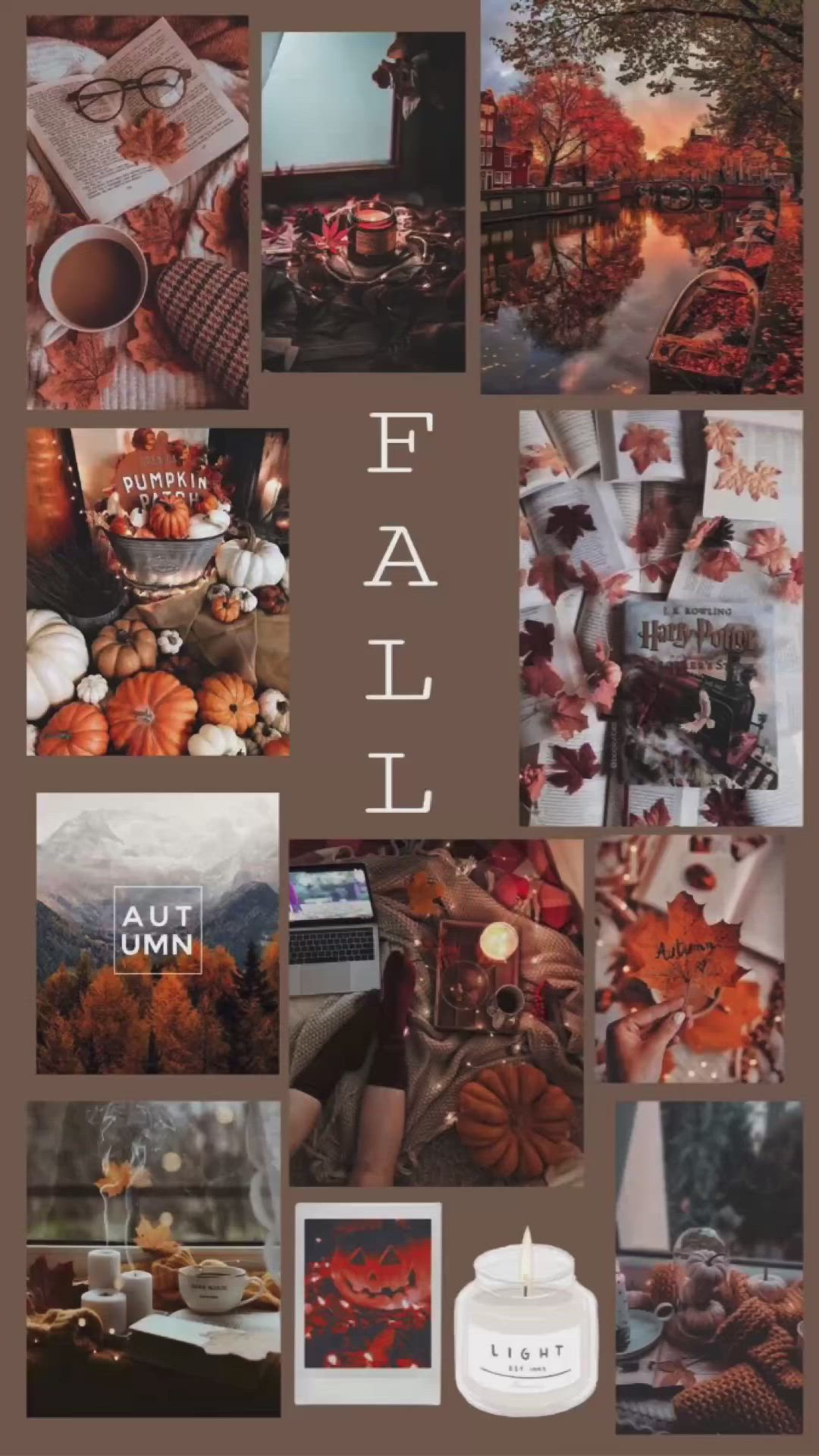 Fall Wallpaper Background iPhone