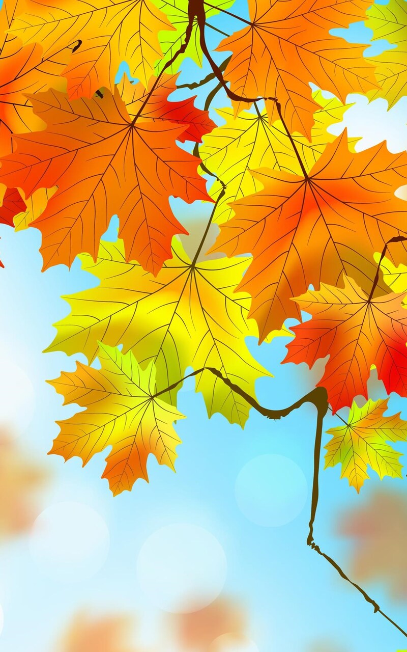 Autumn Leaves HD Nexus 7