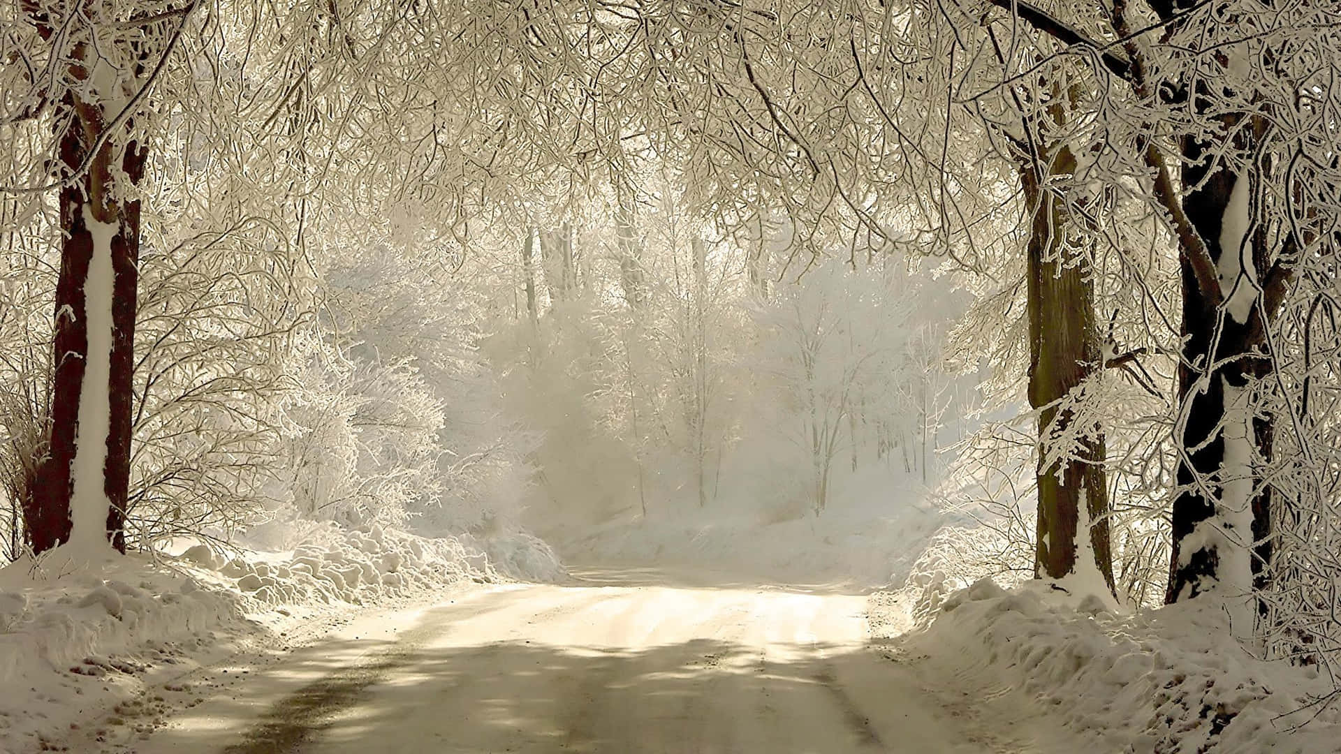 Winter Snow Desktop Wallpaper