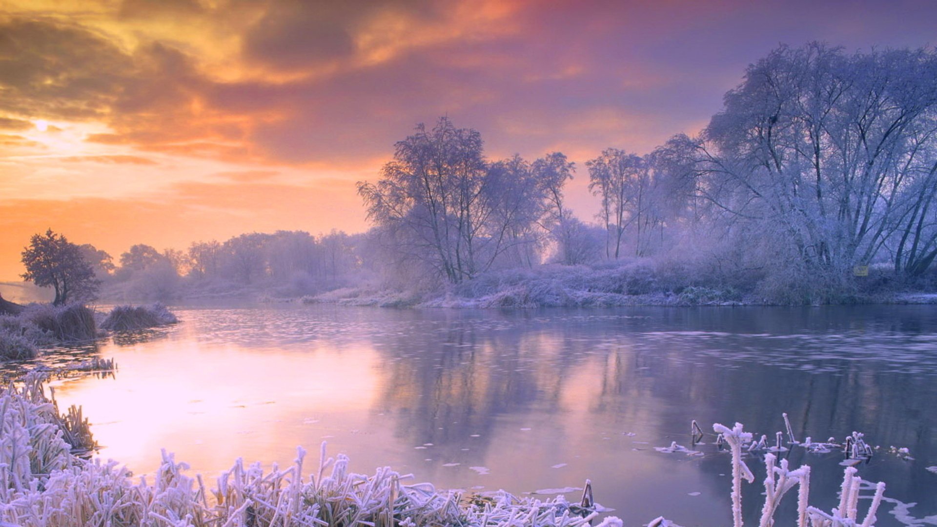 Winter Serenity: HD Nature's Frozen Dawn