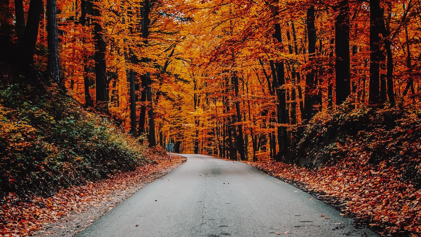 Download wallpaper 1366x768 autumn, road, foliage, turn, asphalt tablet, laptop HD background