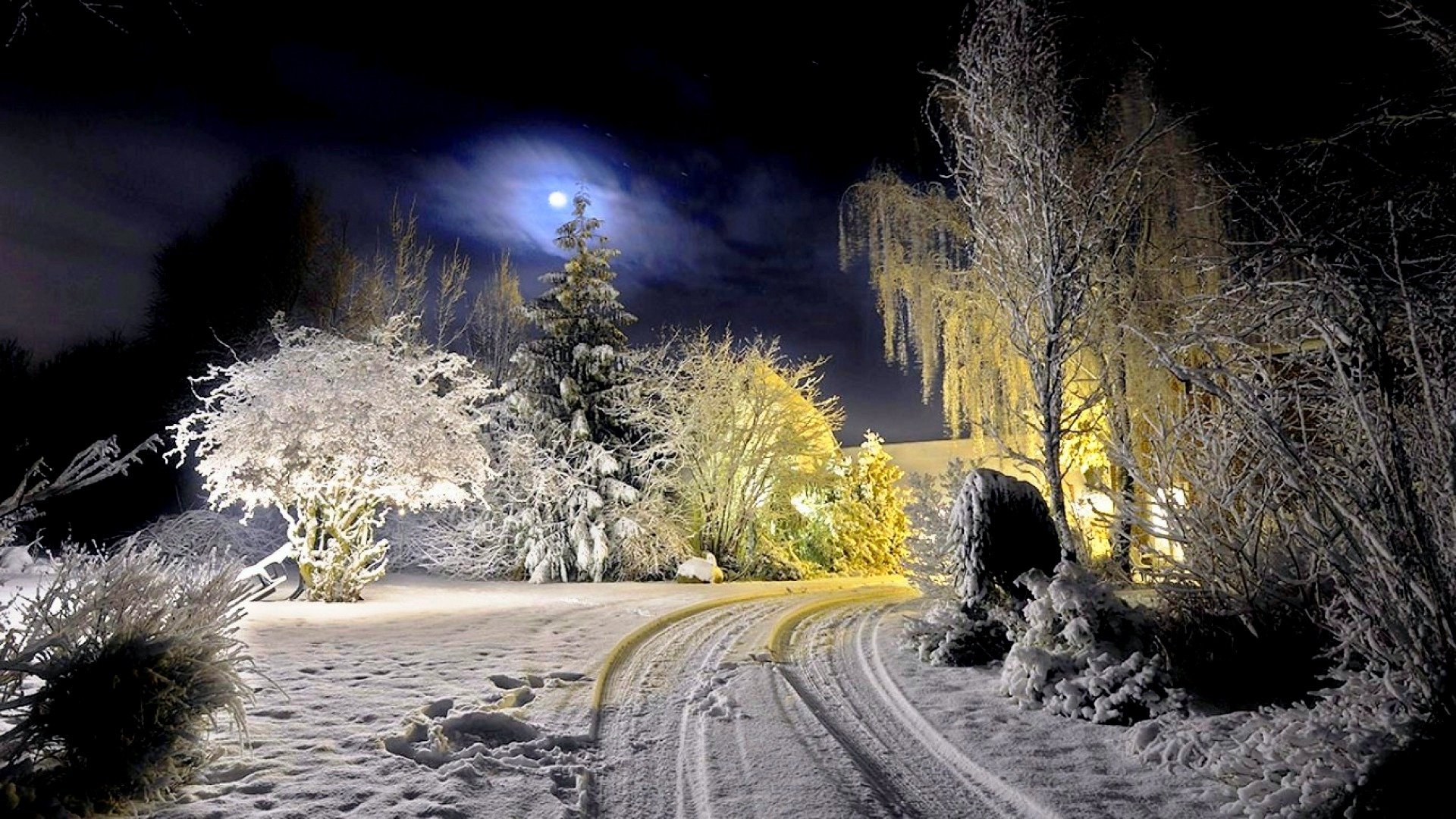 Winter wallpaper 1920x1080 Full HD