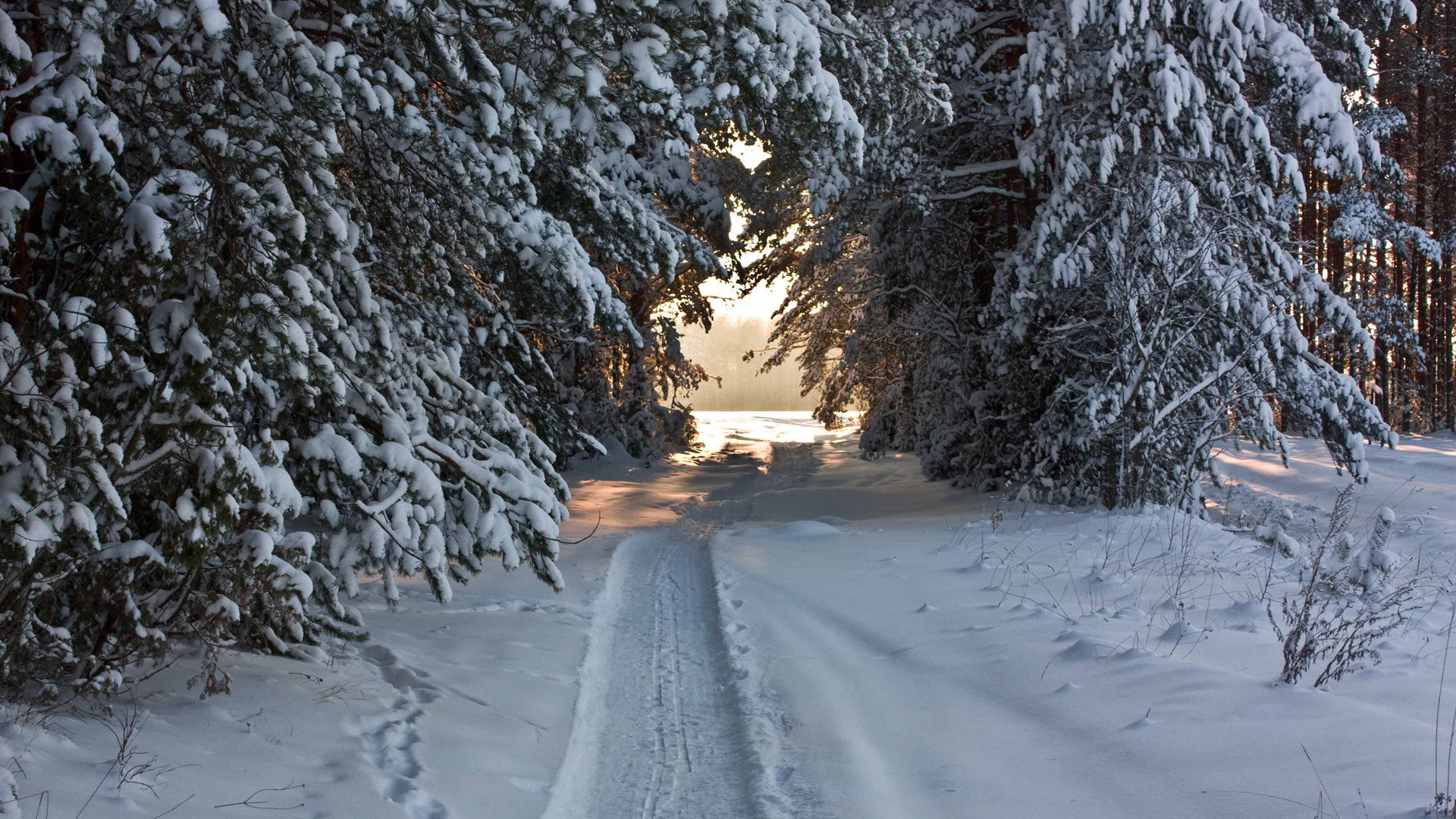 Winter wallpaper 1920x1080 Full HD