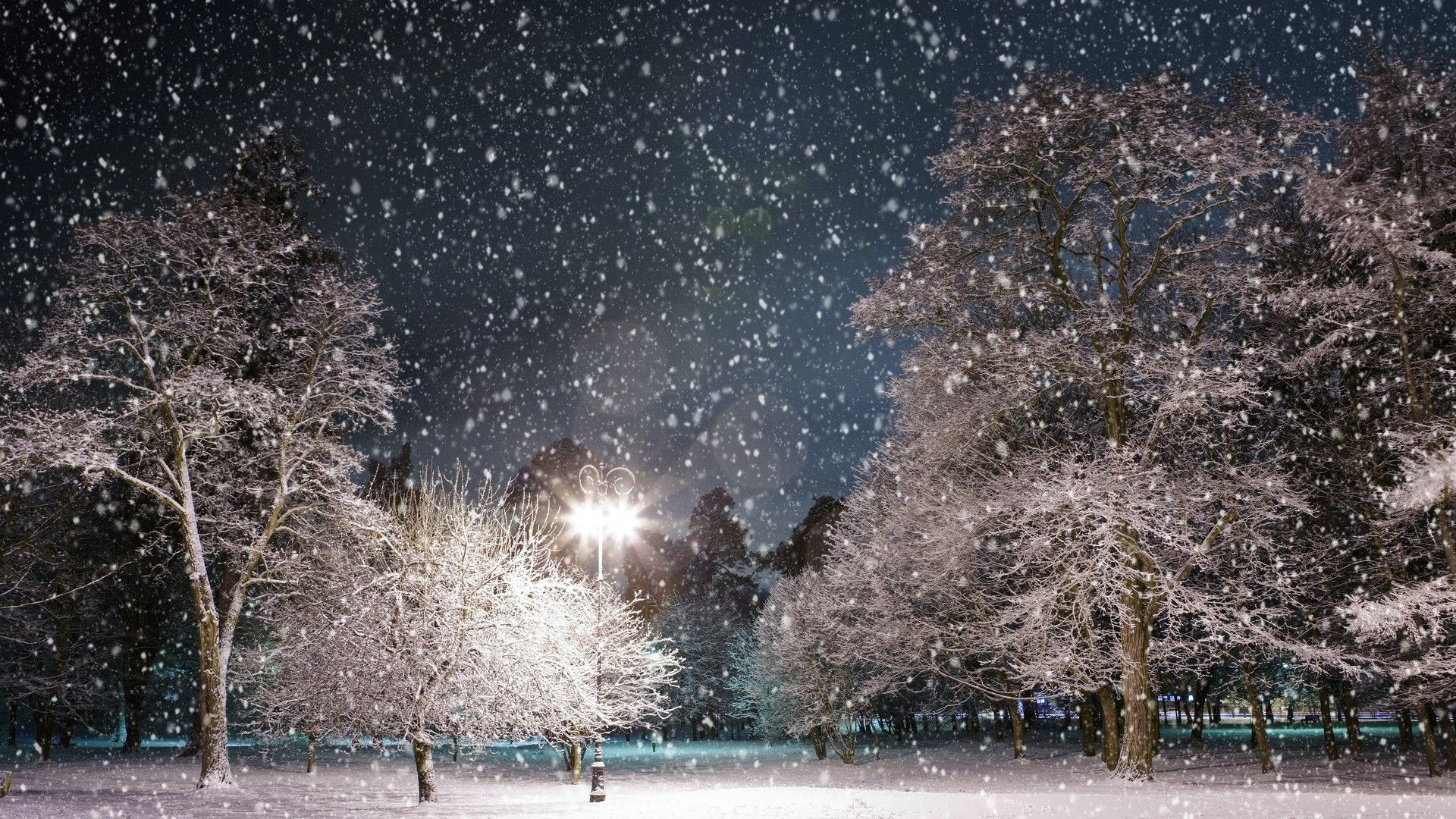 Winter Wallpaper for Desk+