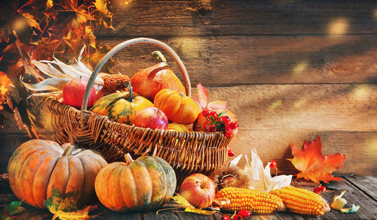 2024. Thanksgiving Events LA 2024