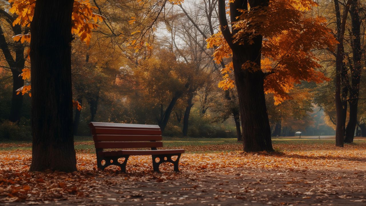 Autumn Park Wallpaper, Colorful