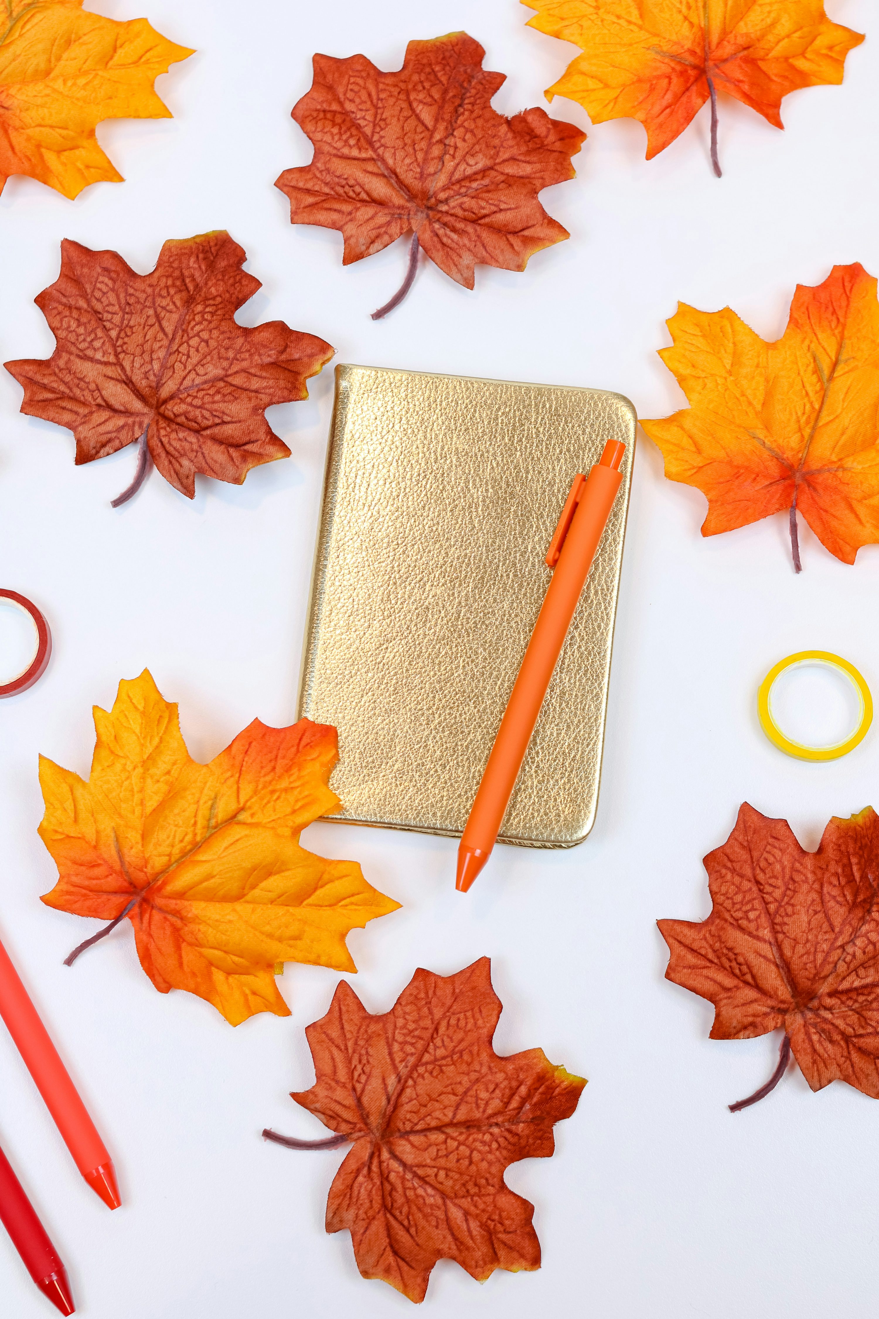 Autumn Leaves Picture. Download
