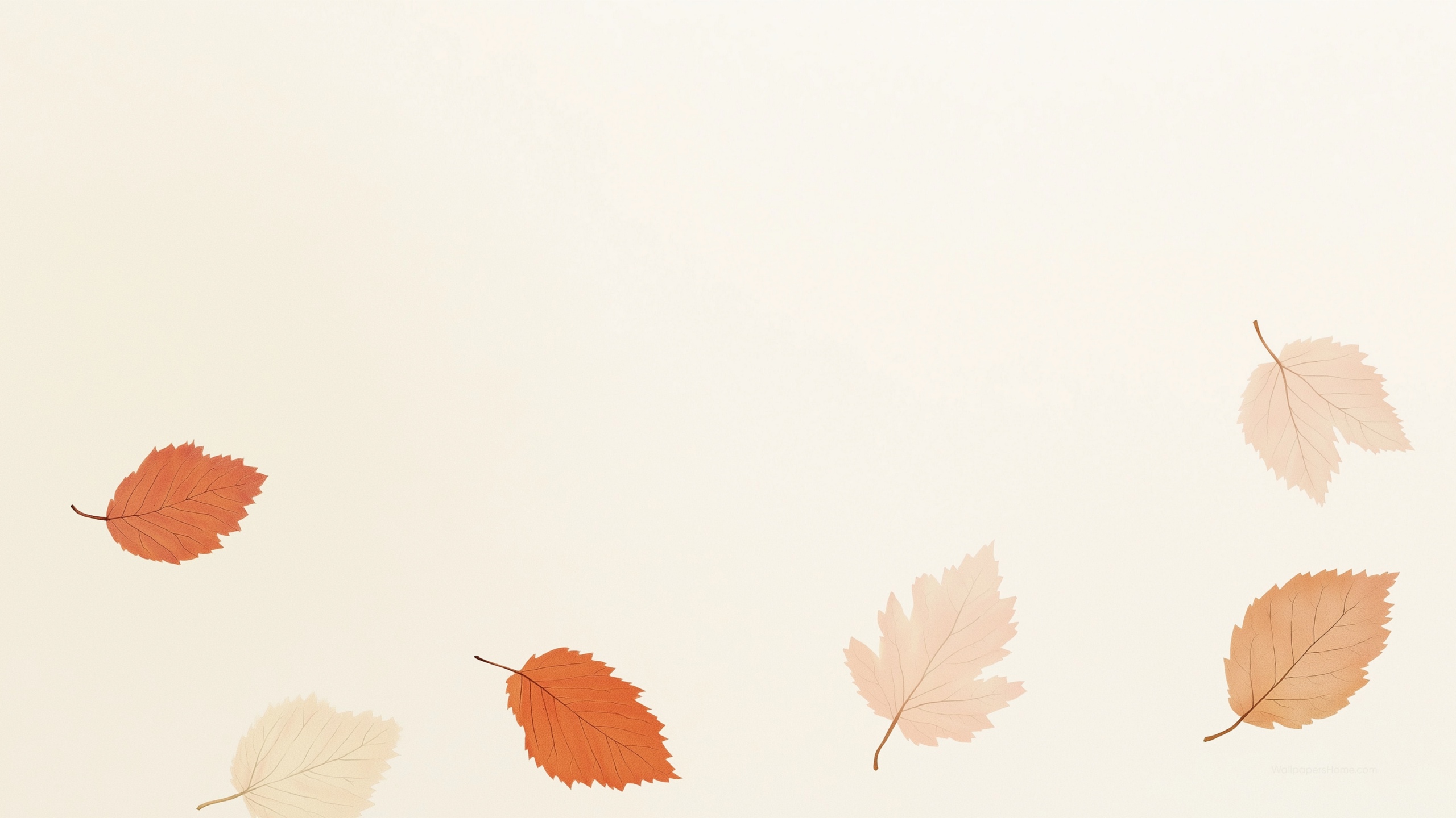 Leaf Wallpaper, Autumn, Seasonal