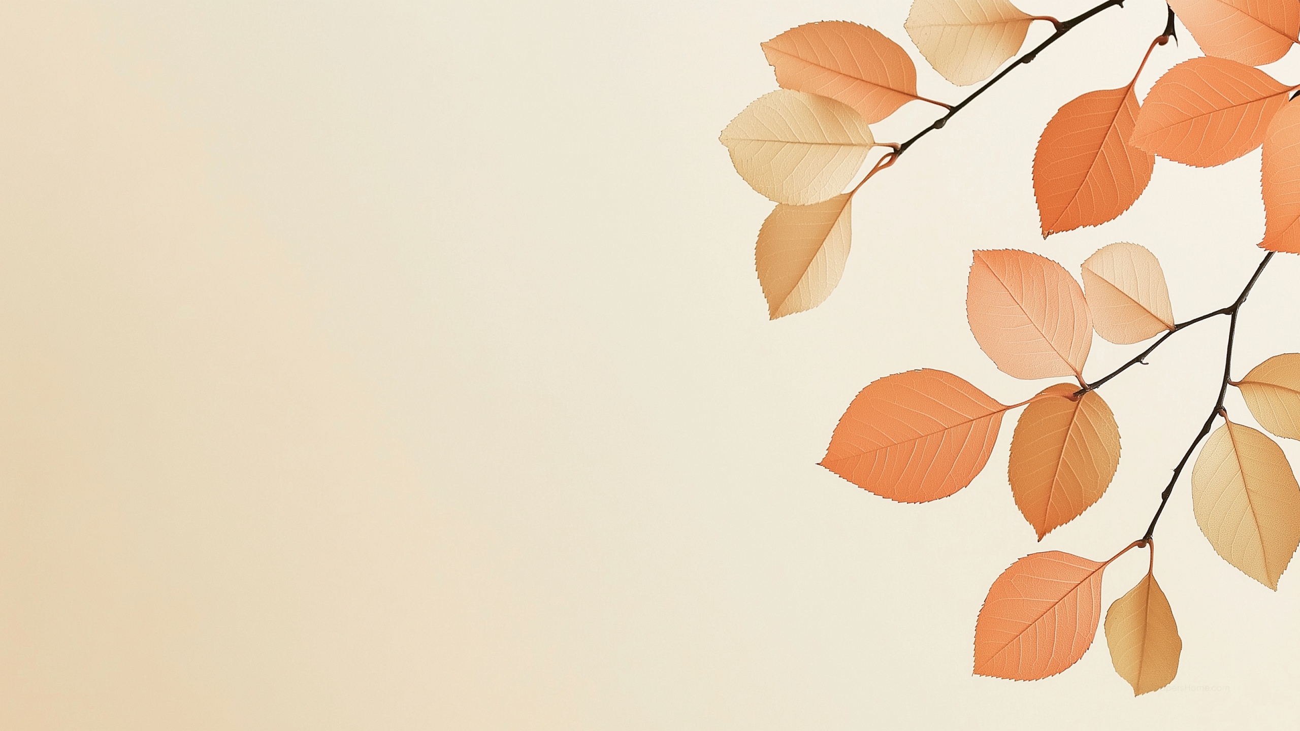 Leaves Wallpaper, Orange