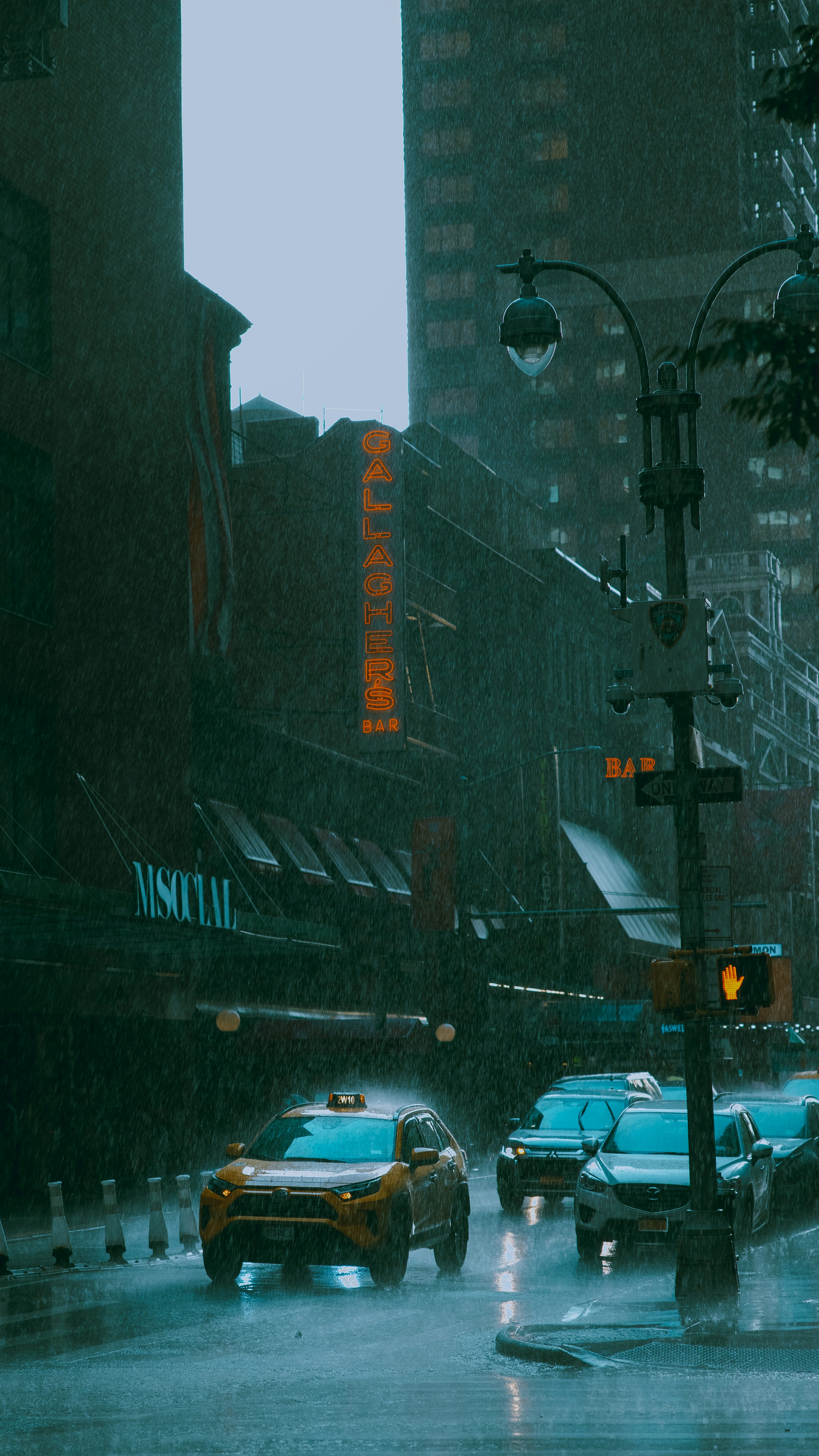 Rainy New York Picture