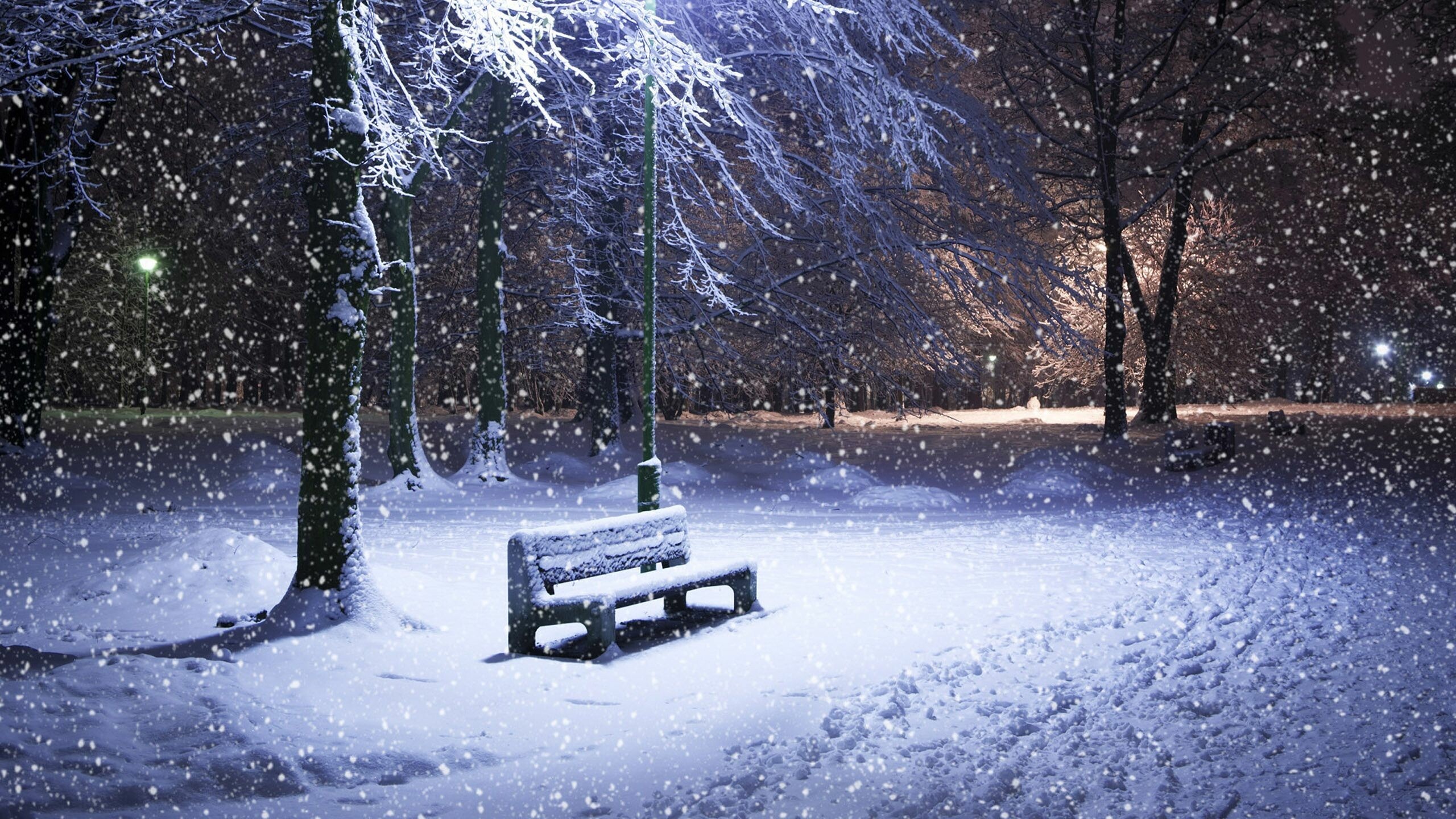 Snow Wallpaper