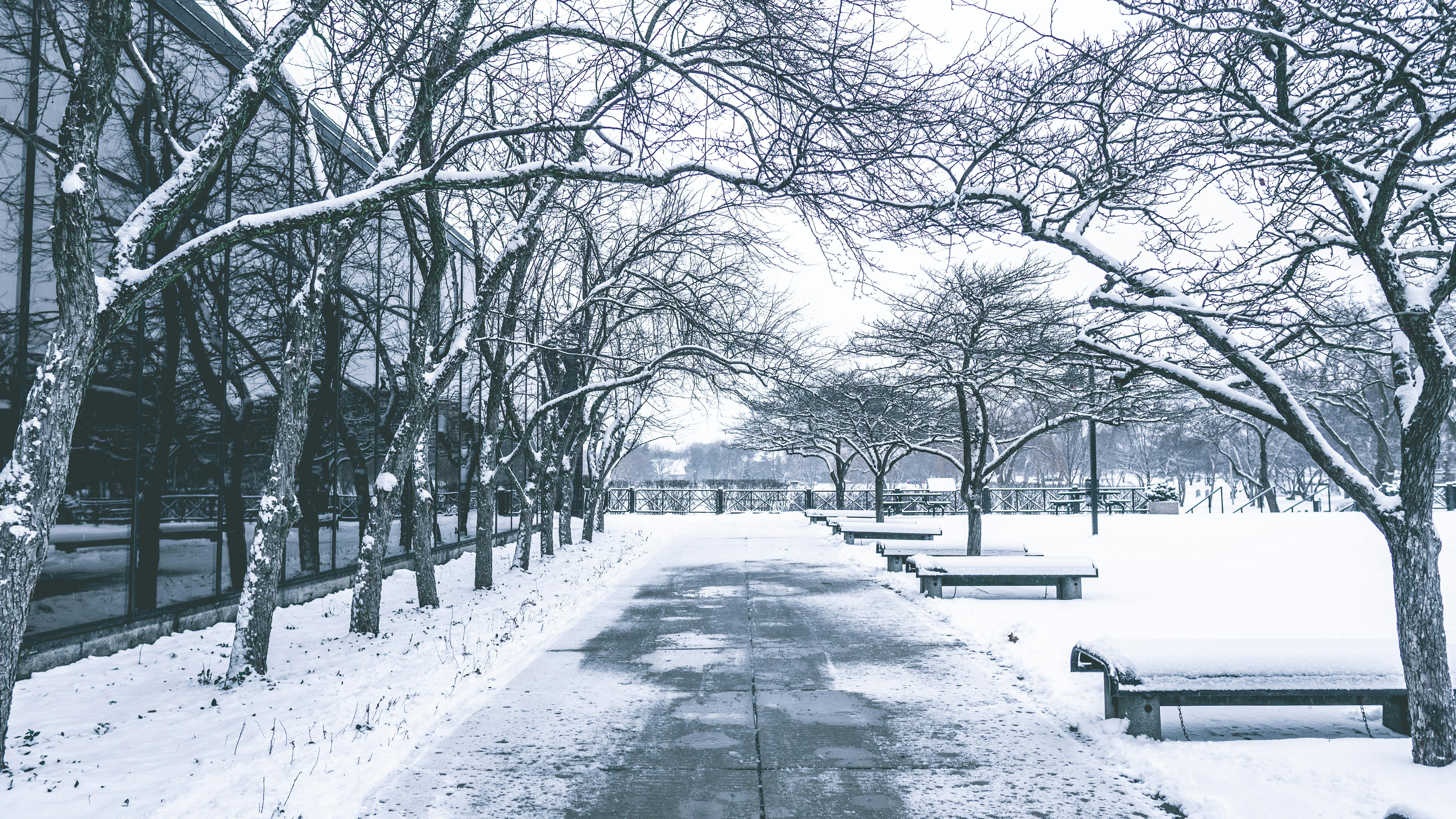 Snowfall Photo, Download The BEST Free