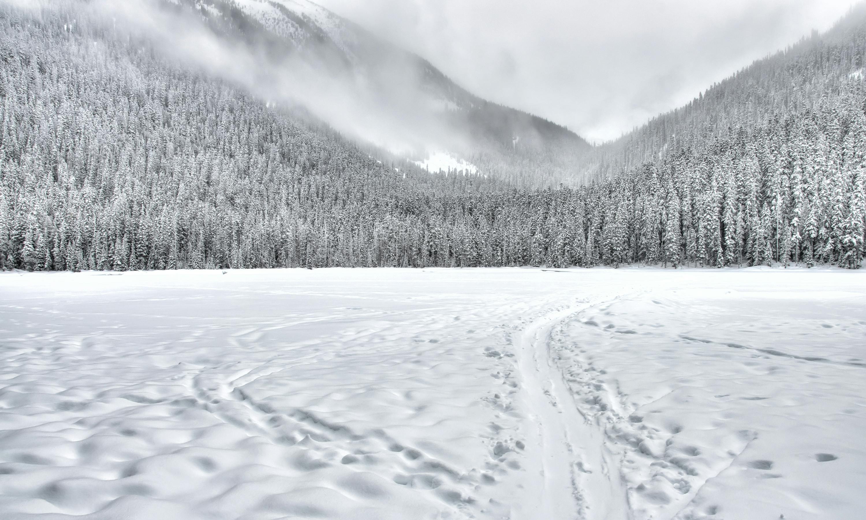 70,Best Snow Photo · 100% Free