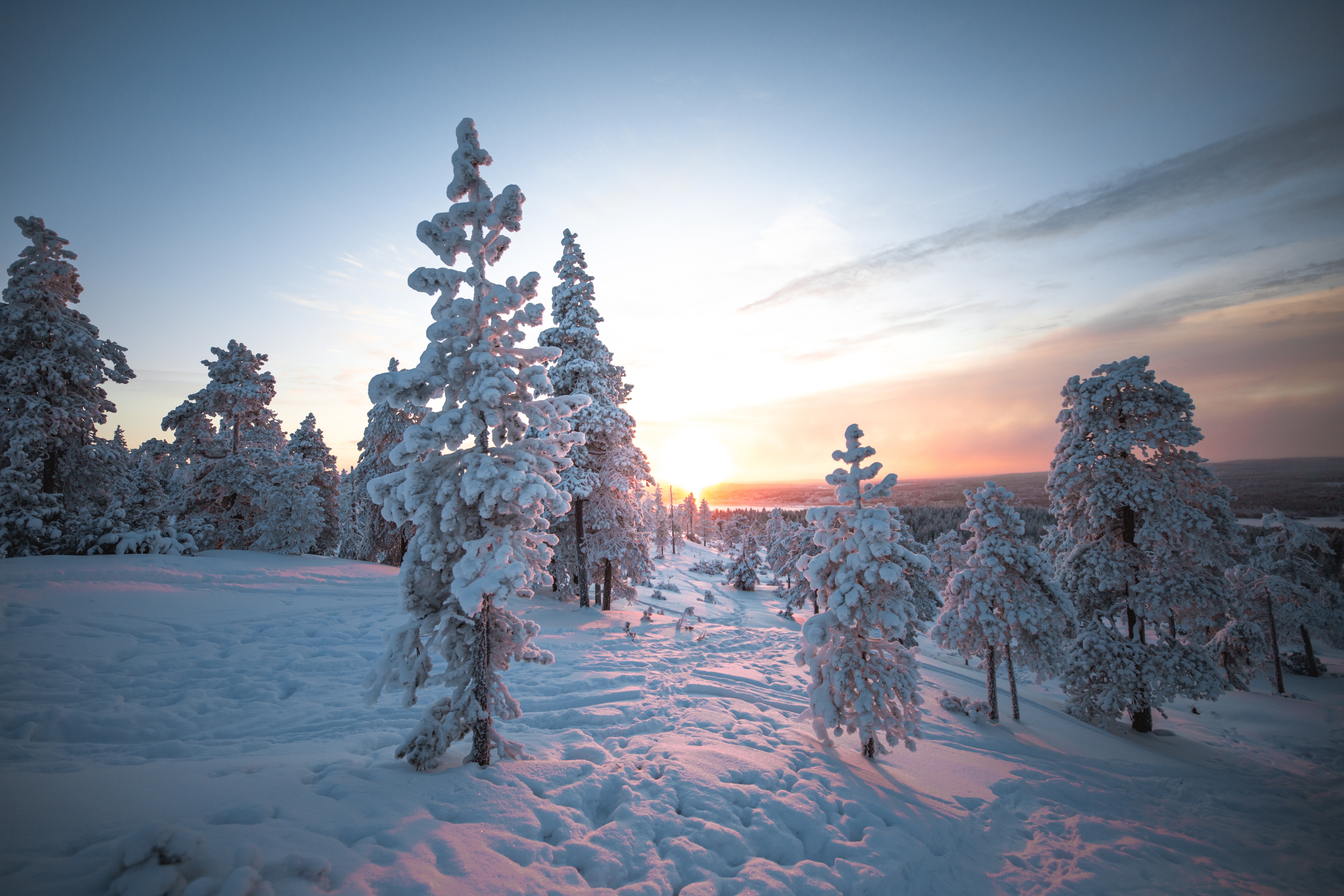 Download Snow wallpaper for mobile
